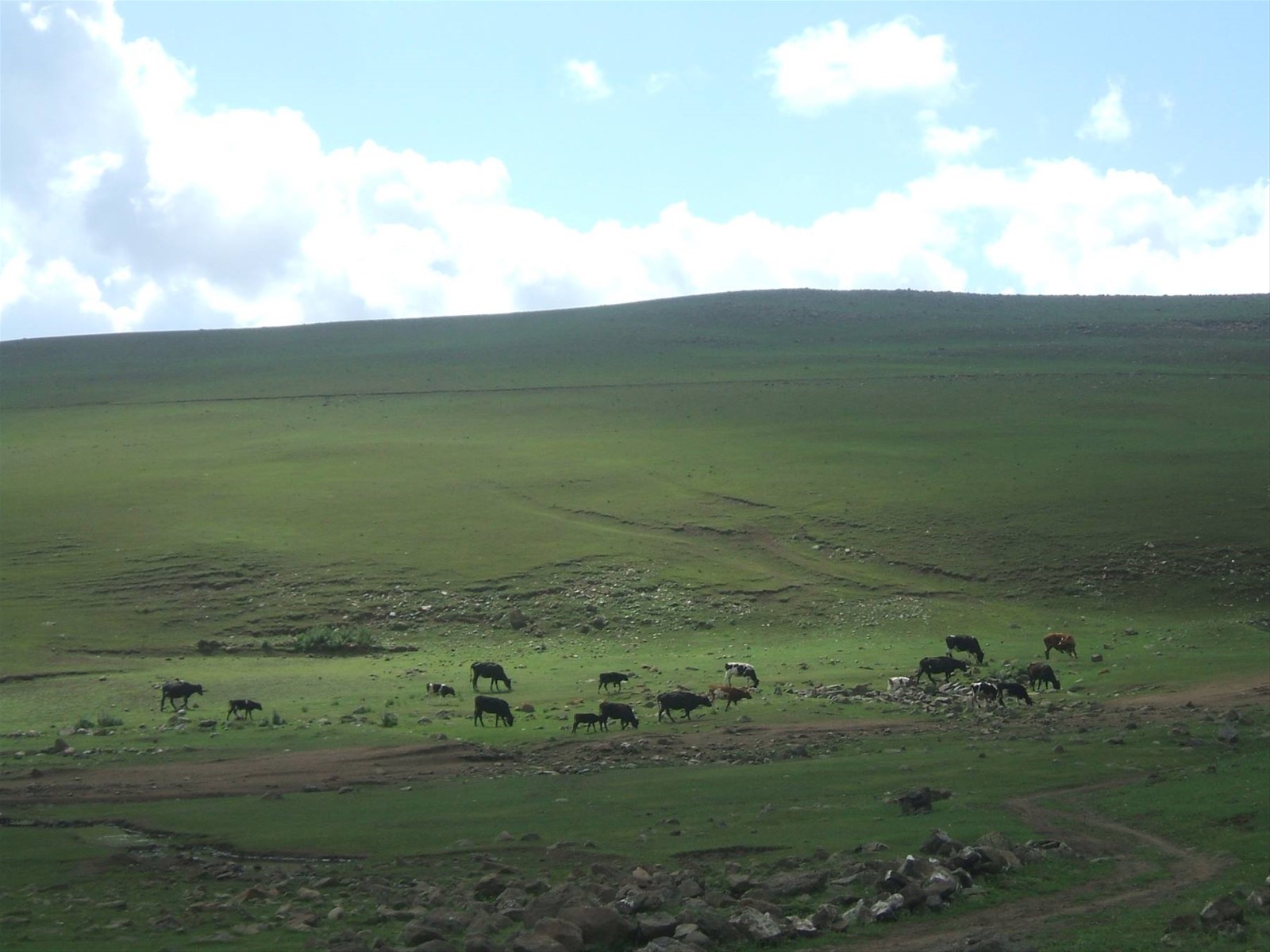 Foto di viaggio in MONGOLIA