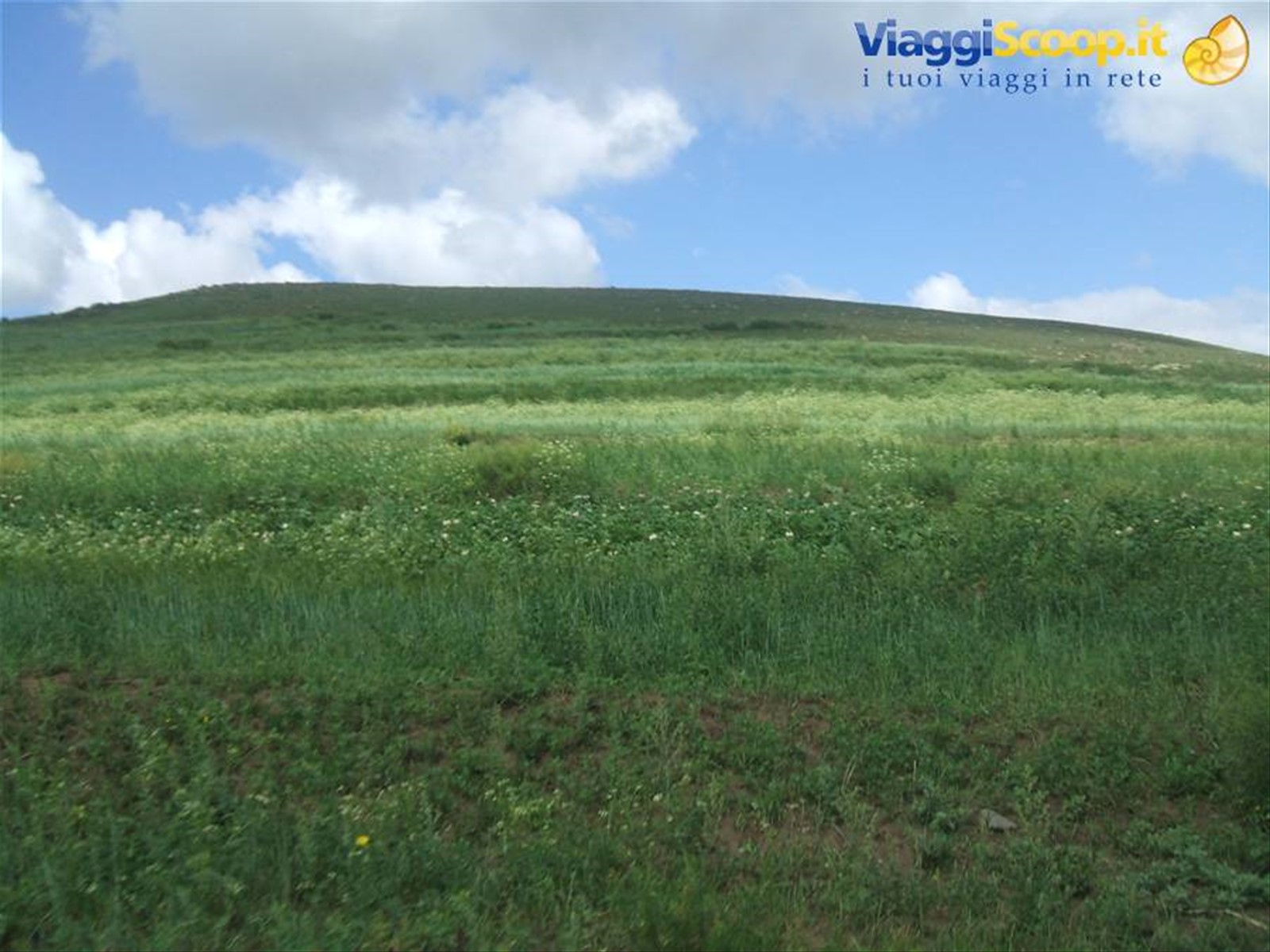 Foto di viaggio in MONGOLIA