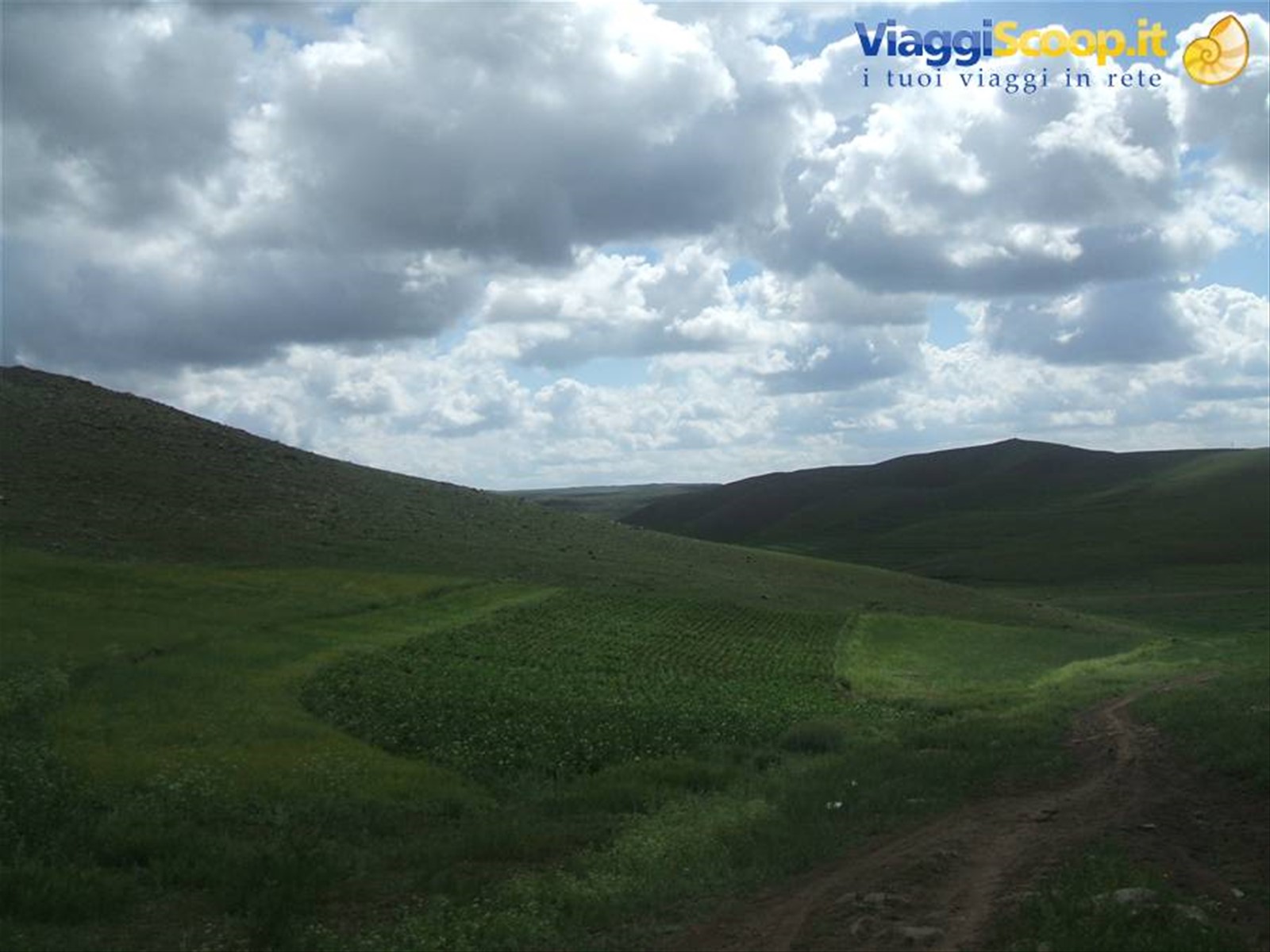 Foto di viaggio in MONGOLIA