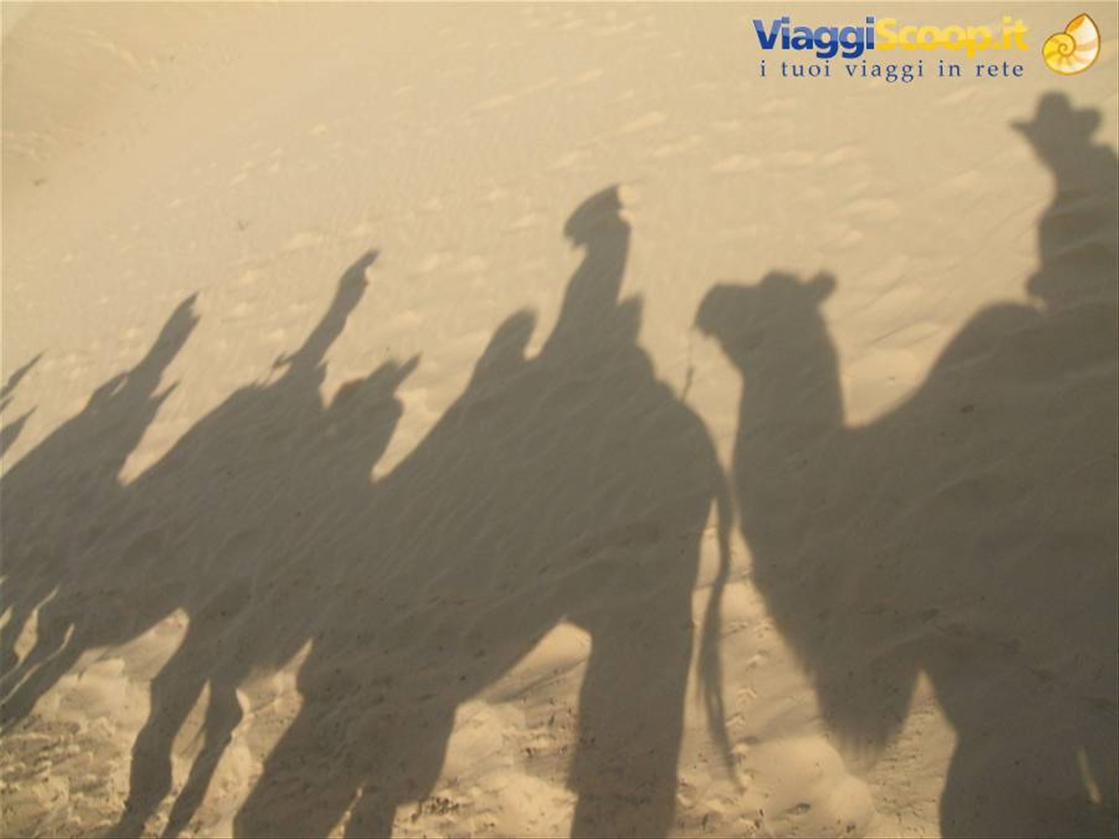 Foto di viaggio in MONGOLIA