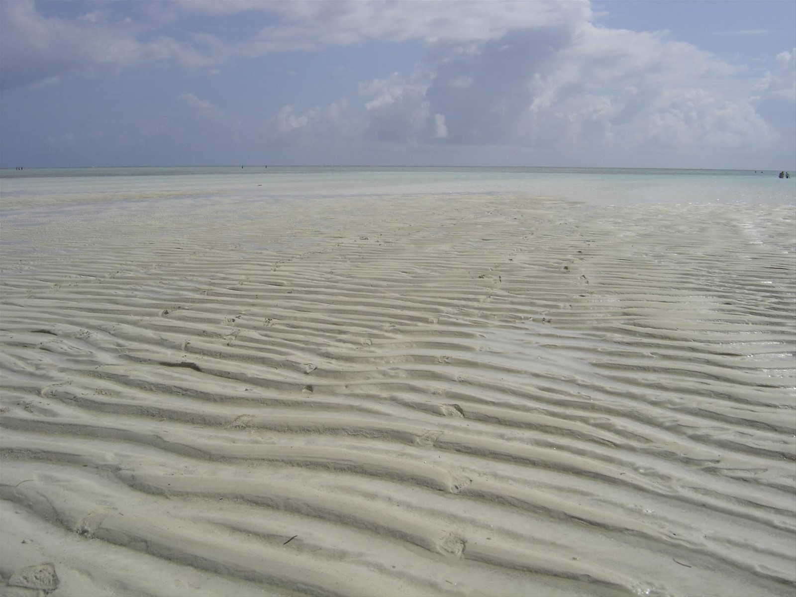 zanzibar che passione....