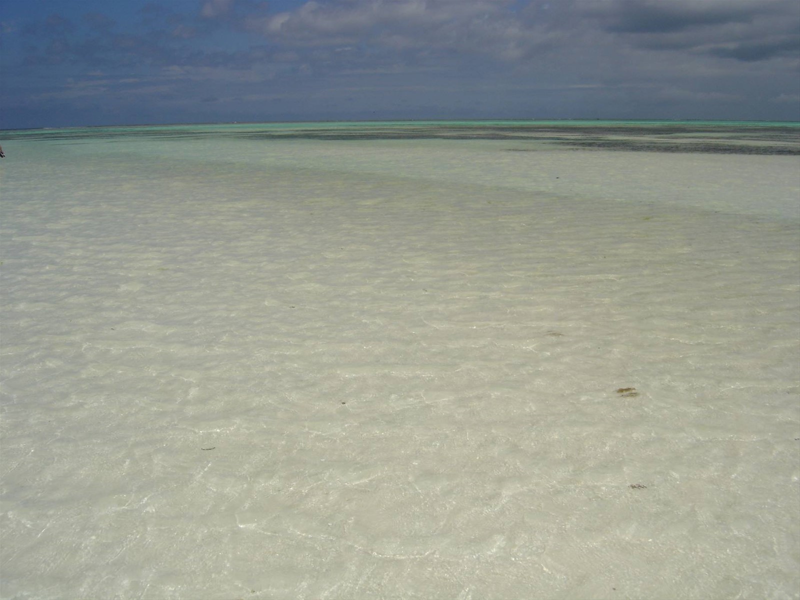 Foto di viaggio in TANZANIA