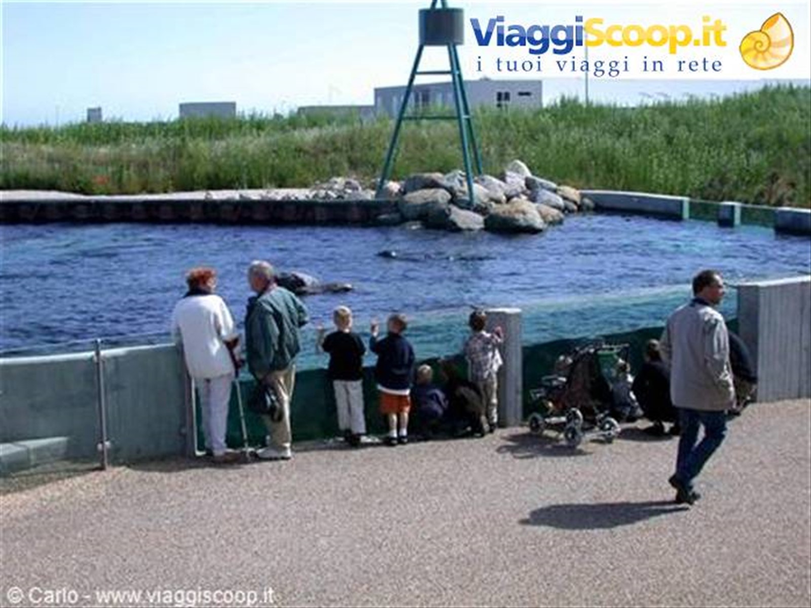 Hirtshals - Acquario