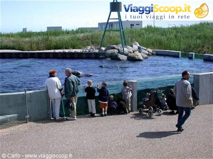 Hirtshals - Acquario