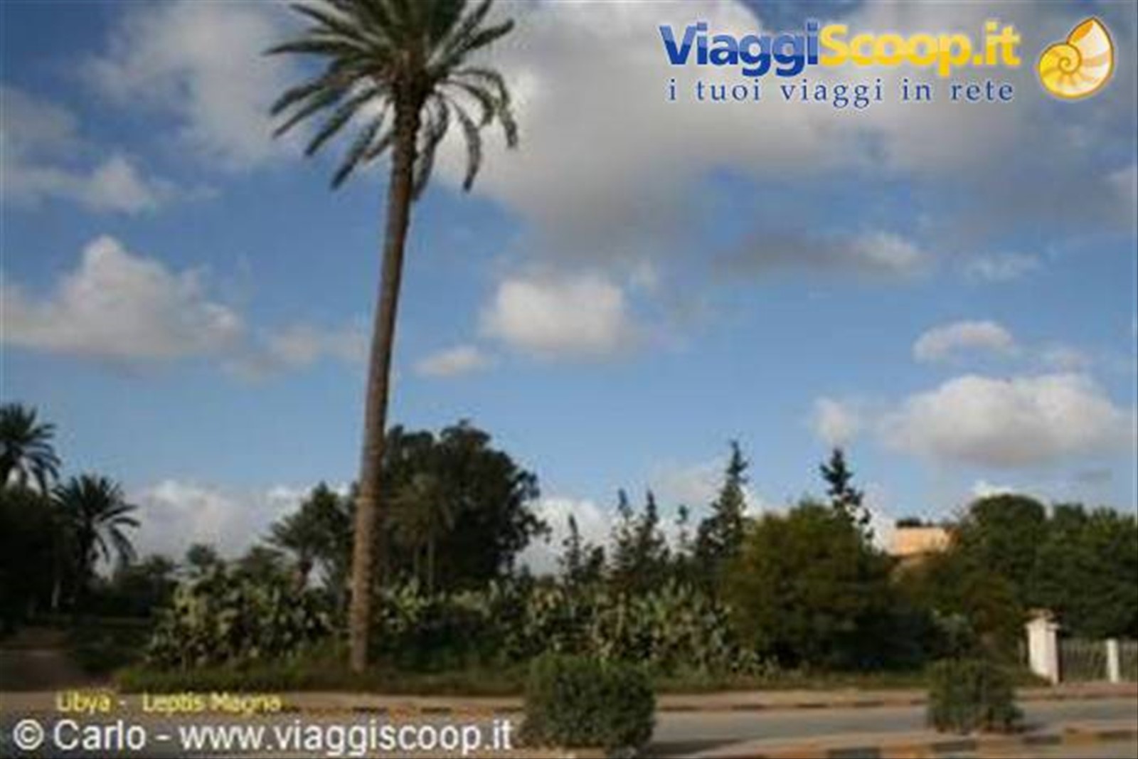 Foto di viaggio in LIBYAN ARAB JAMAHIRIYA