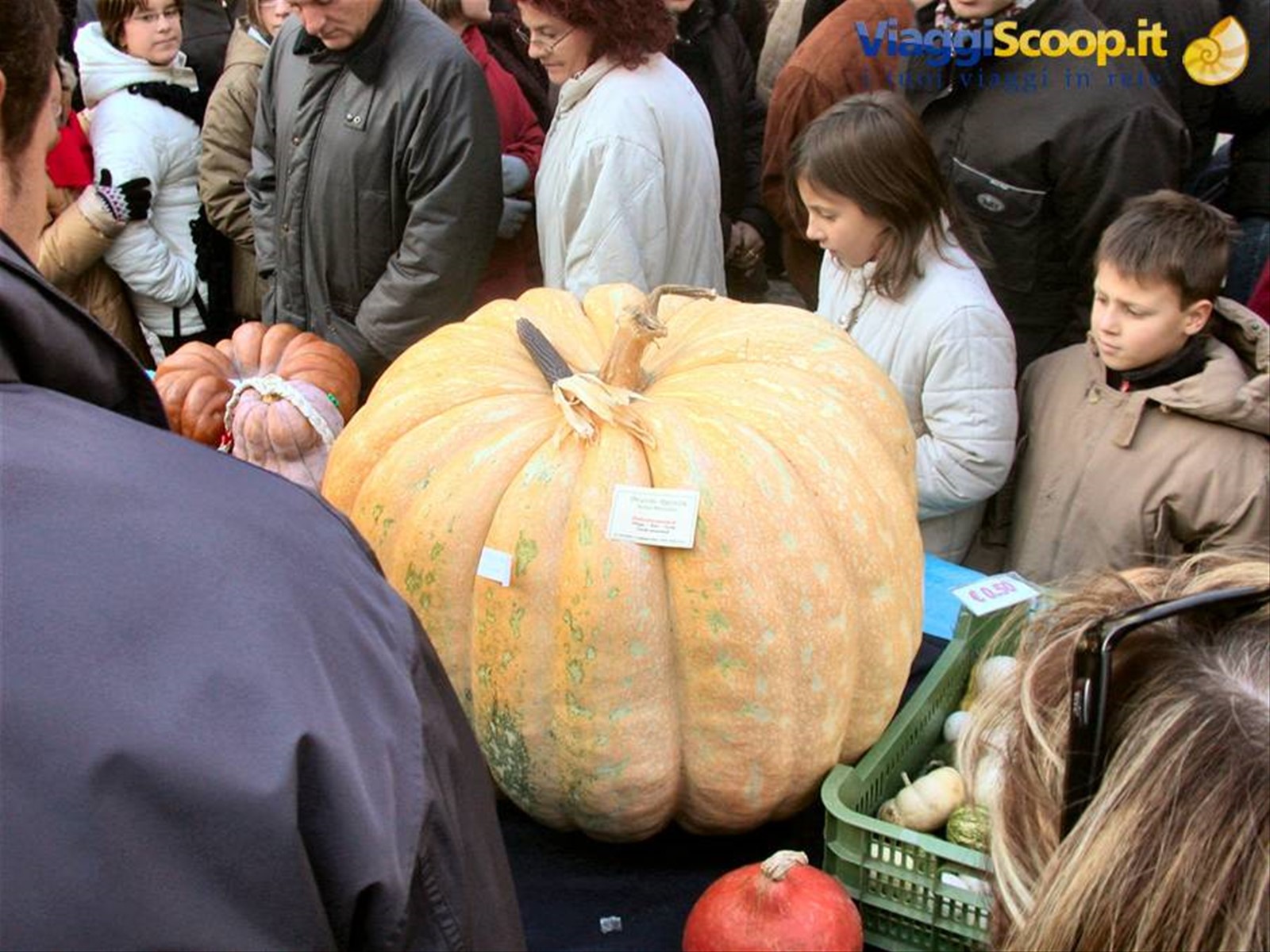 Venzone - la festa della zucca