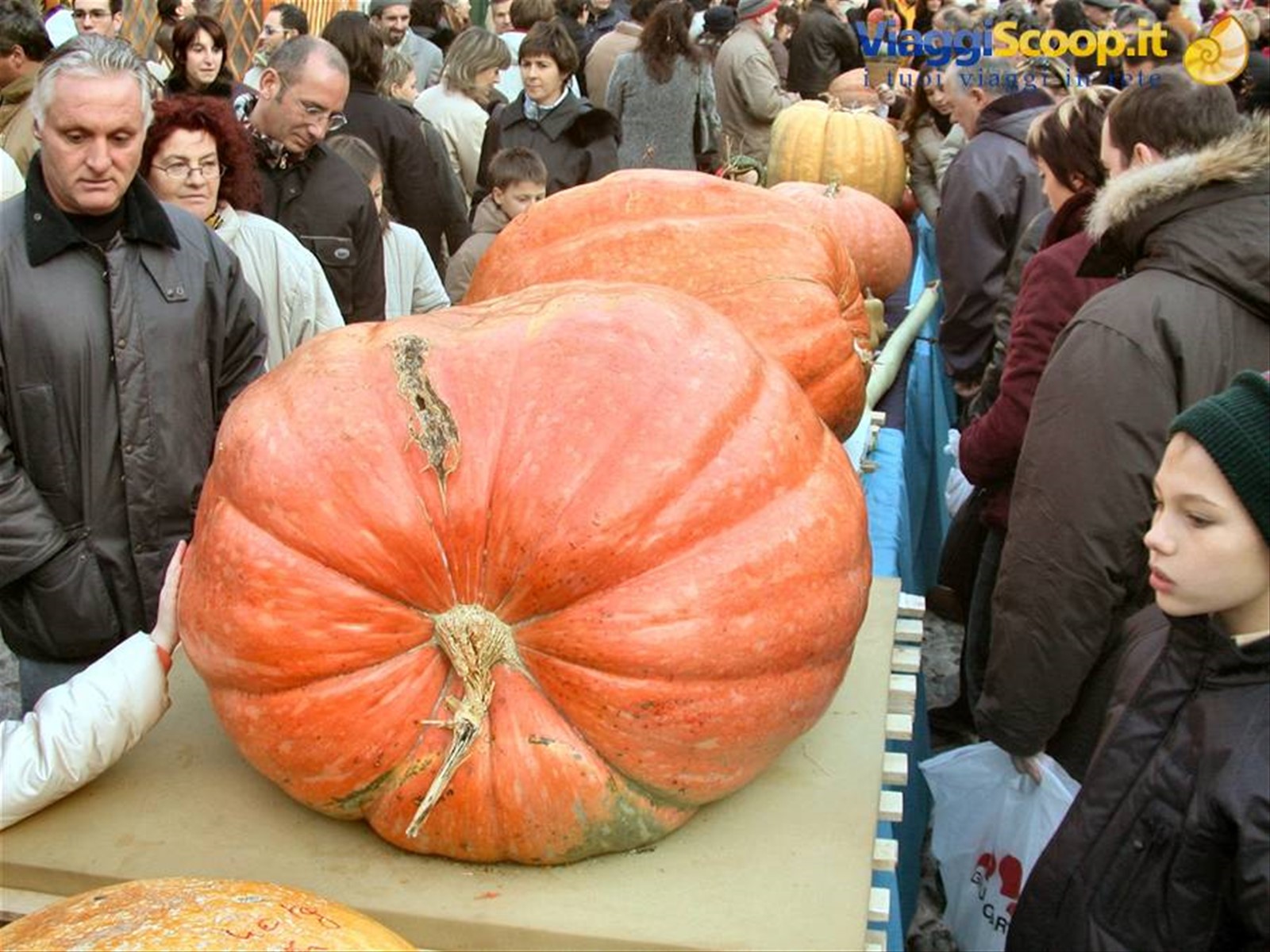 Venzone - la festa della zucca