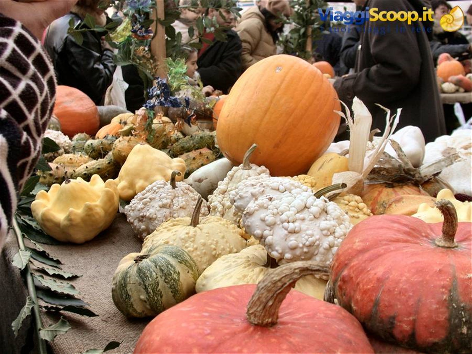 Venzone - La festa della Zucca