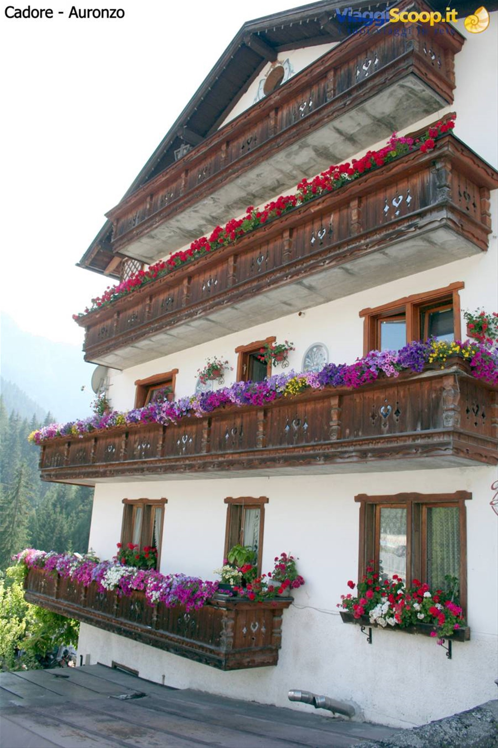 Cadore - Auronzo
