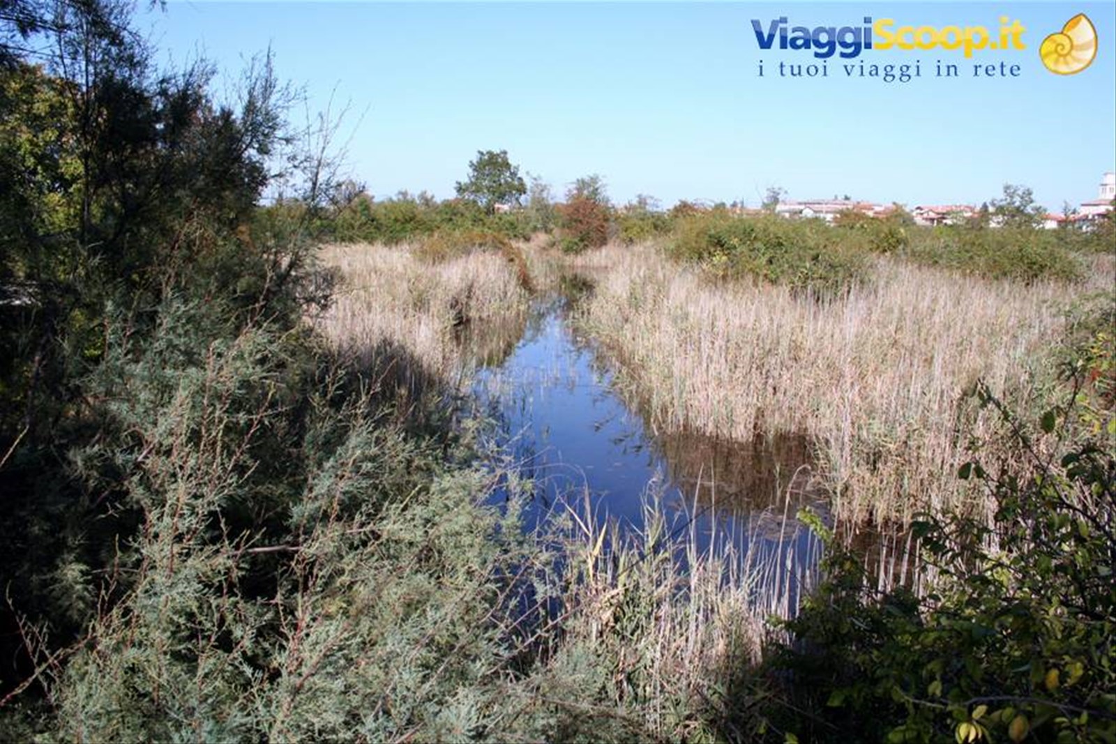 Marano Lagunare - Riserva Naturale "Valle Canal Novo
