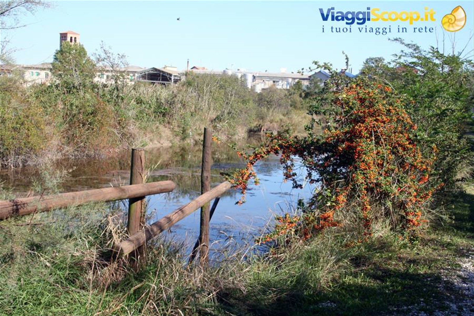 Marano Lagunare - Riserva Naturale "Valle Canal Novo