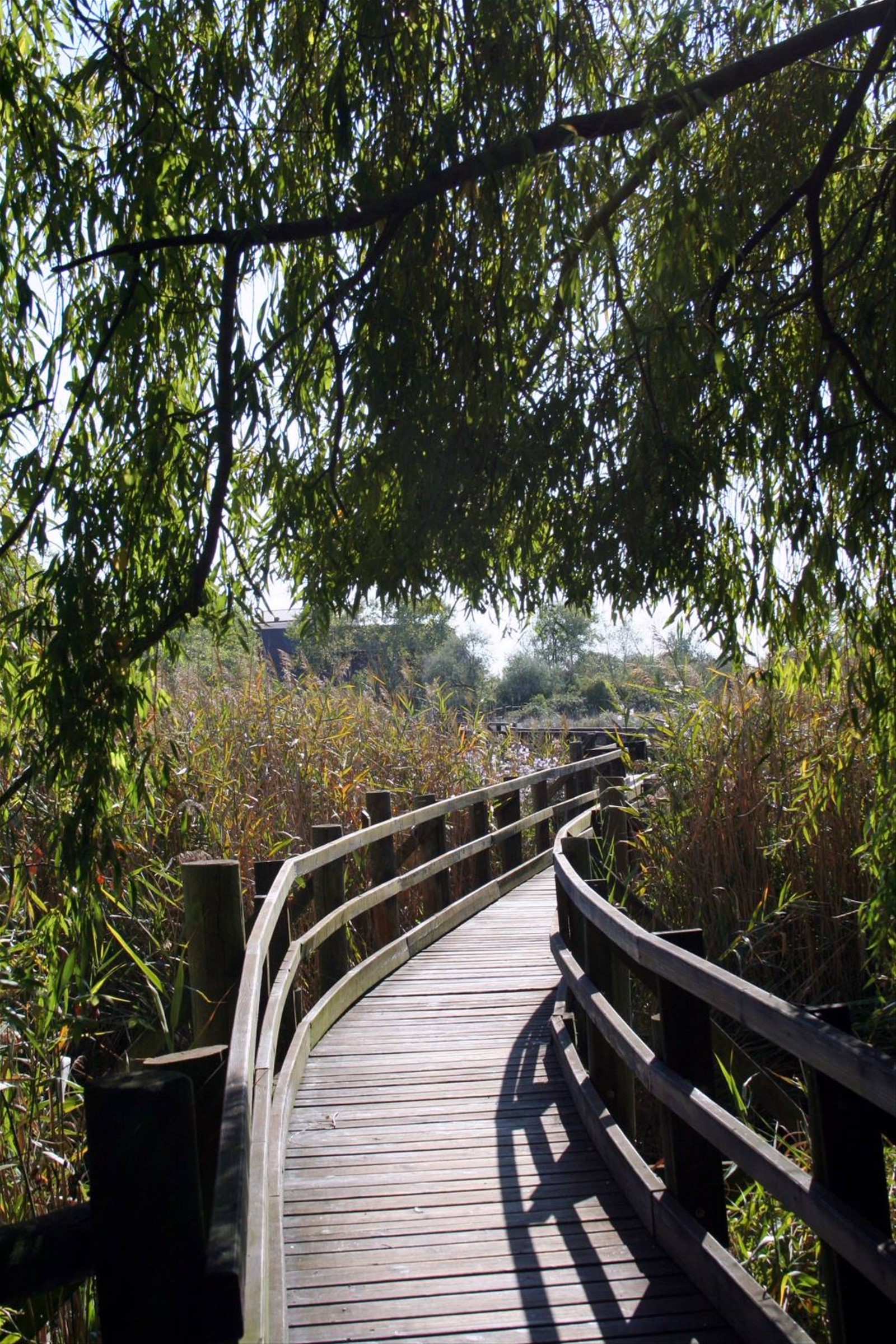 Marano Lagunare - Riserva Naturale "Valle Canal Novo"
