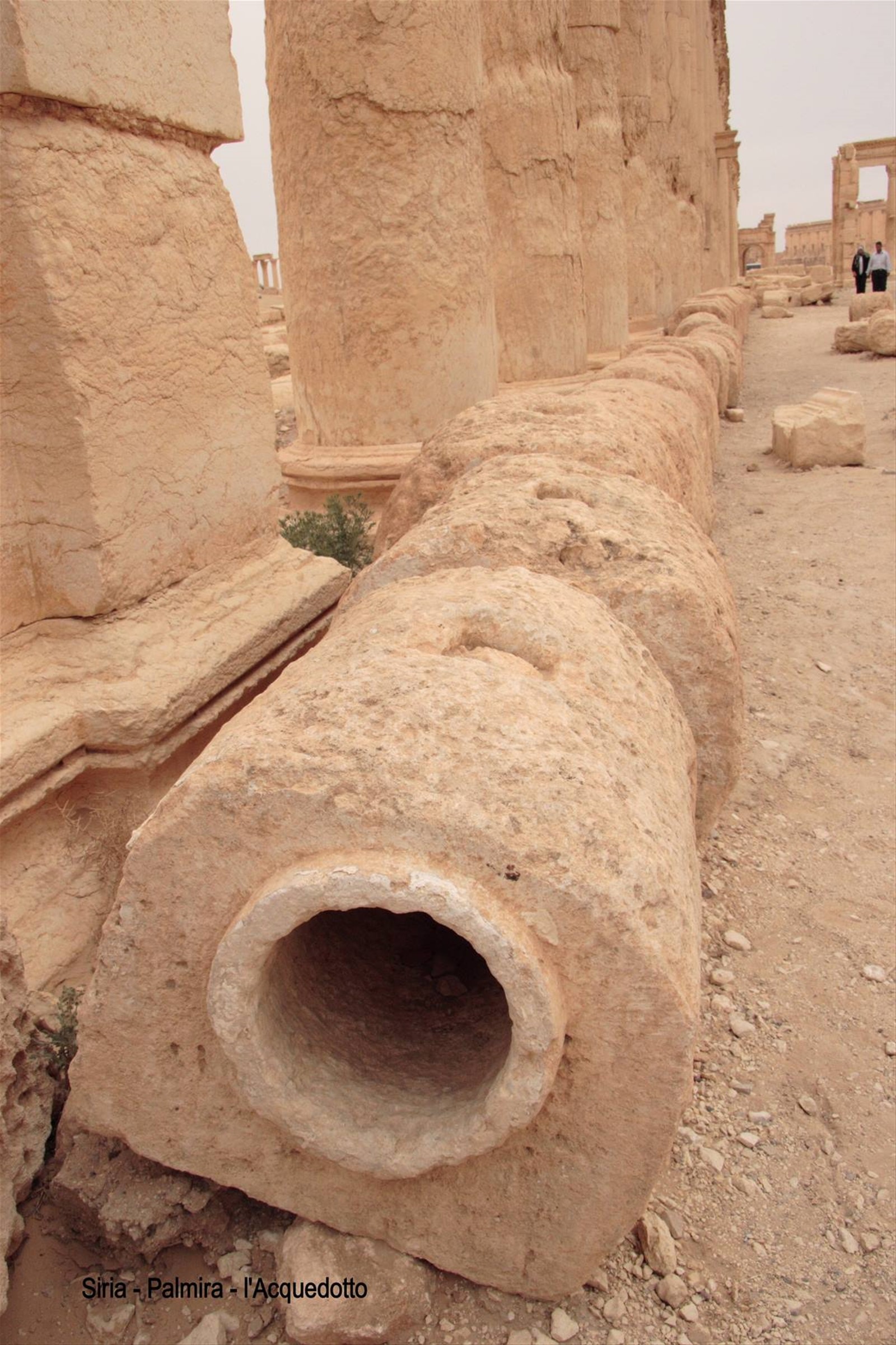 Siria - Palmira - Acquedotto