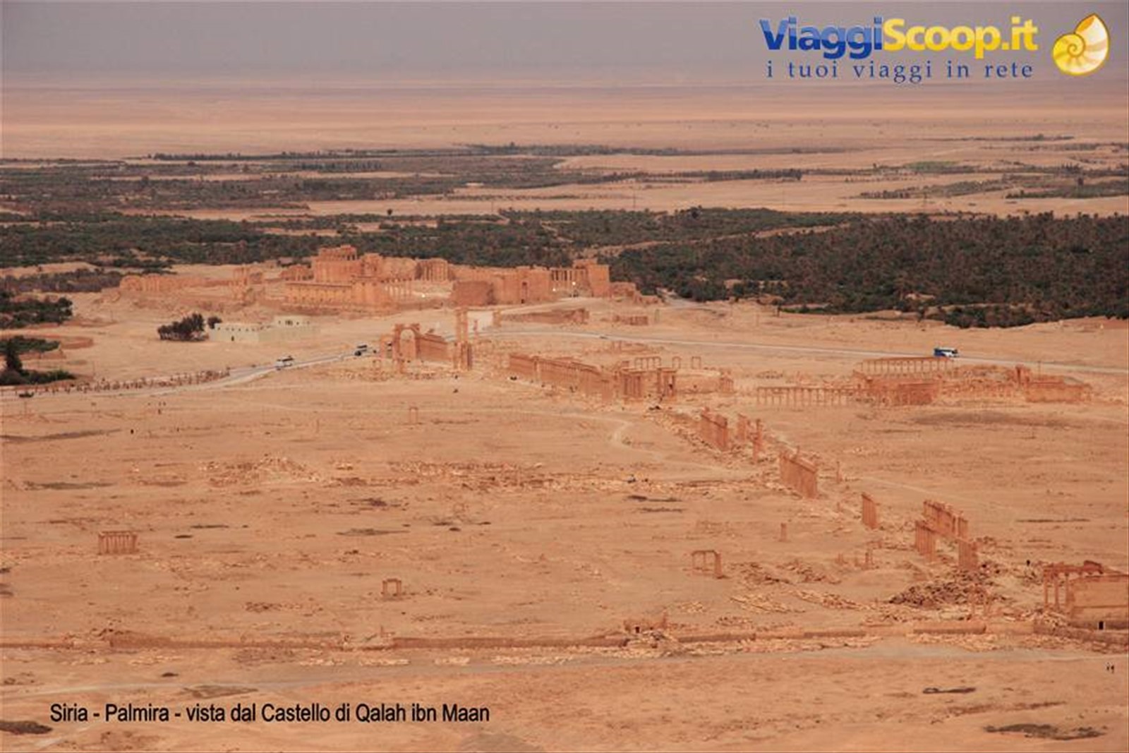Siria - Palmira - vista sal Castello di Ibn Maan
