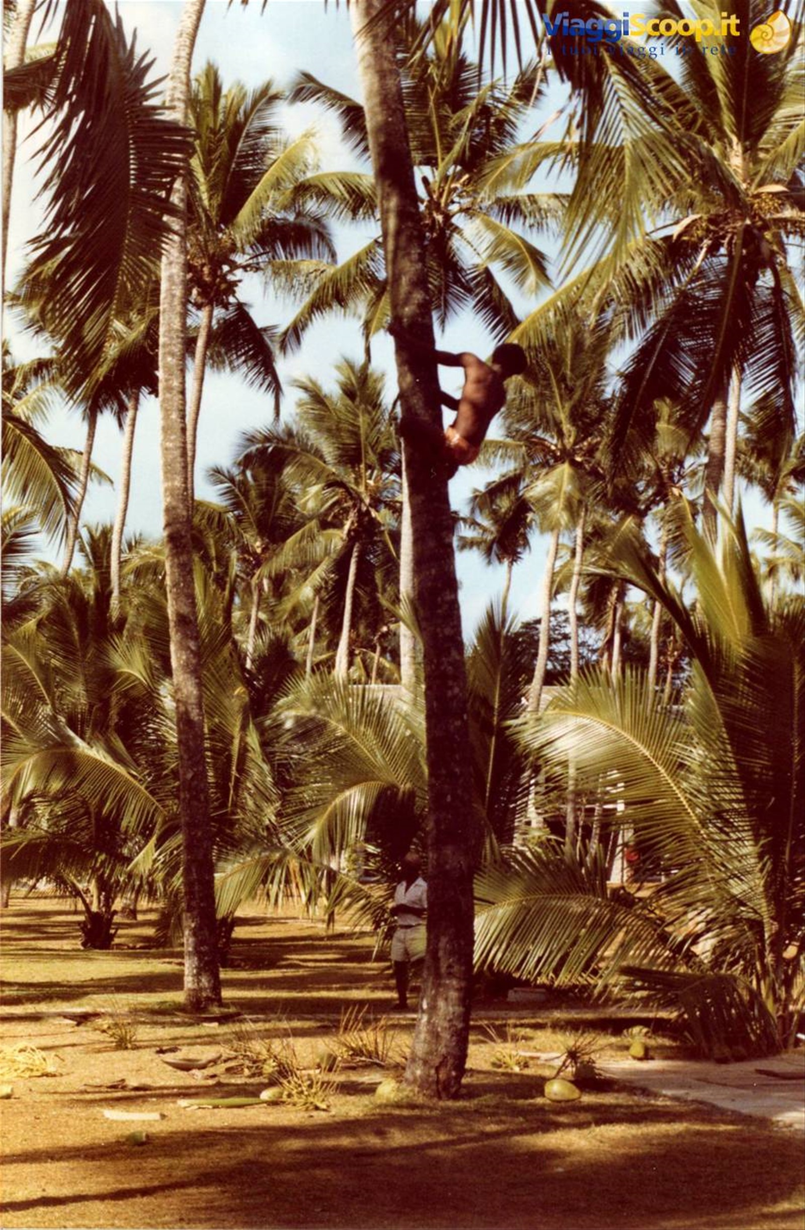Foto di viaggio in SEYCHELLES