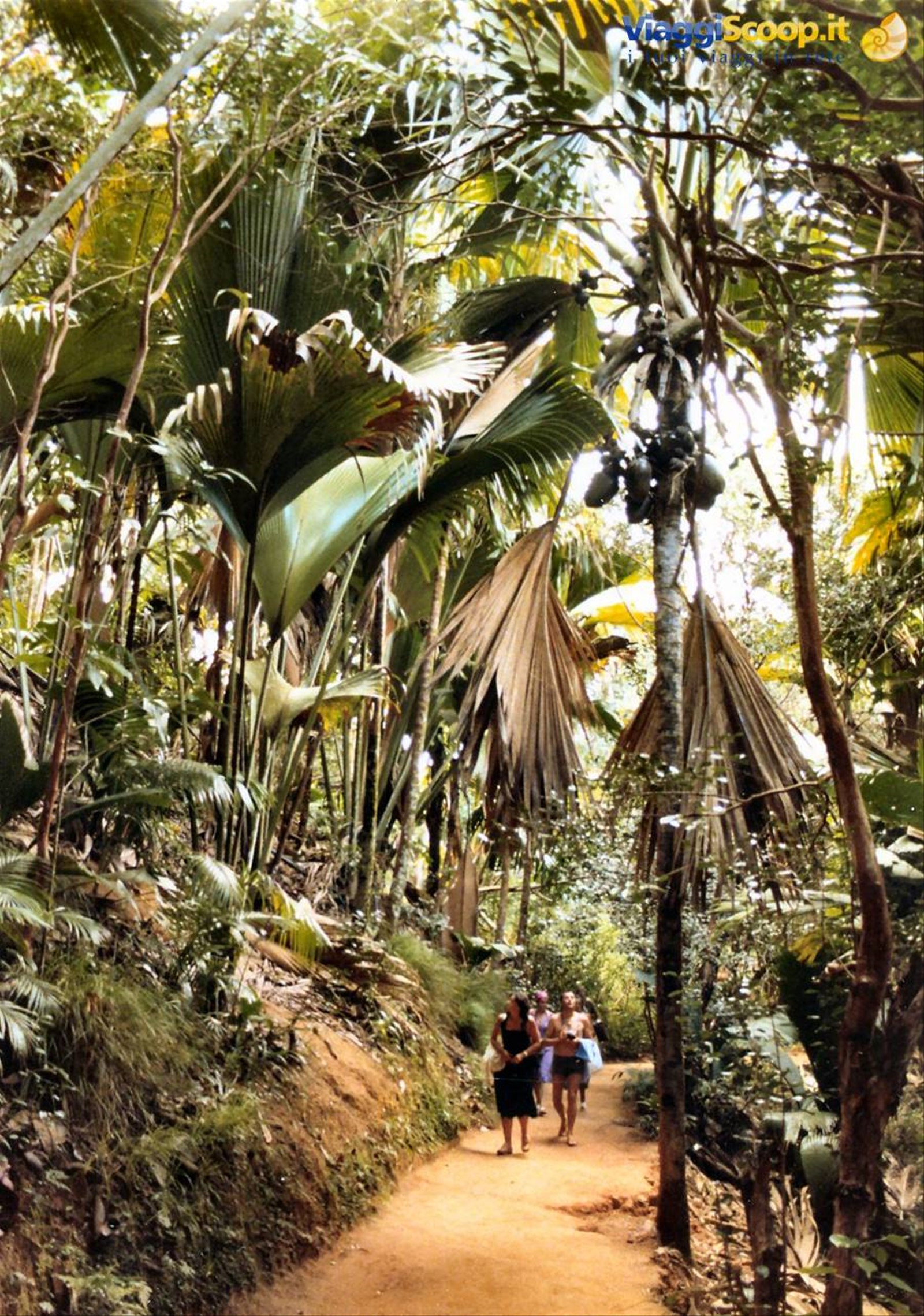 Foto di viaggio in SEYCHELLES
