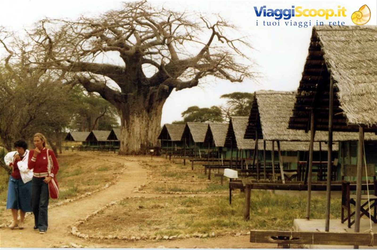 Foto di viaggio in TANZANIA