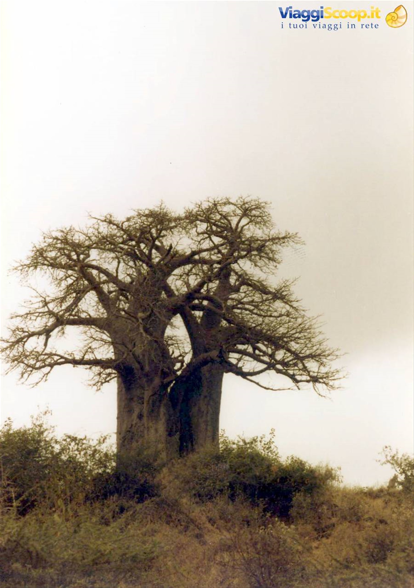 Foto di viaggio in TANZANIA
