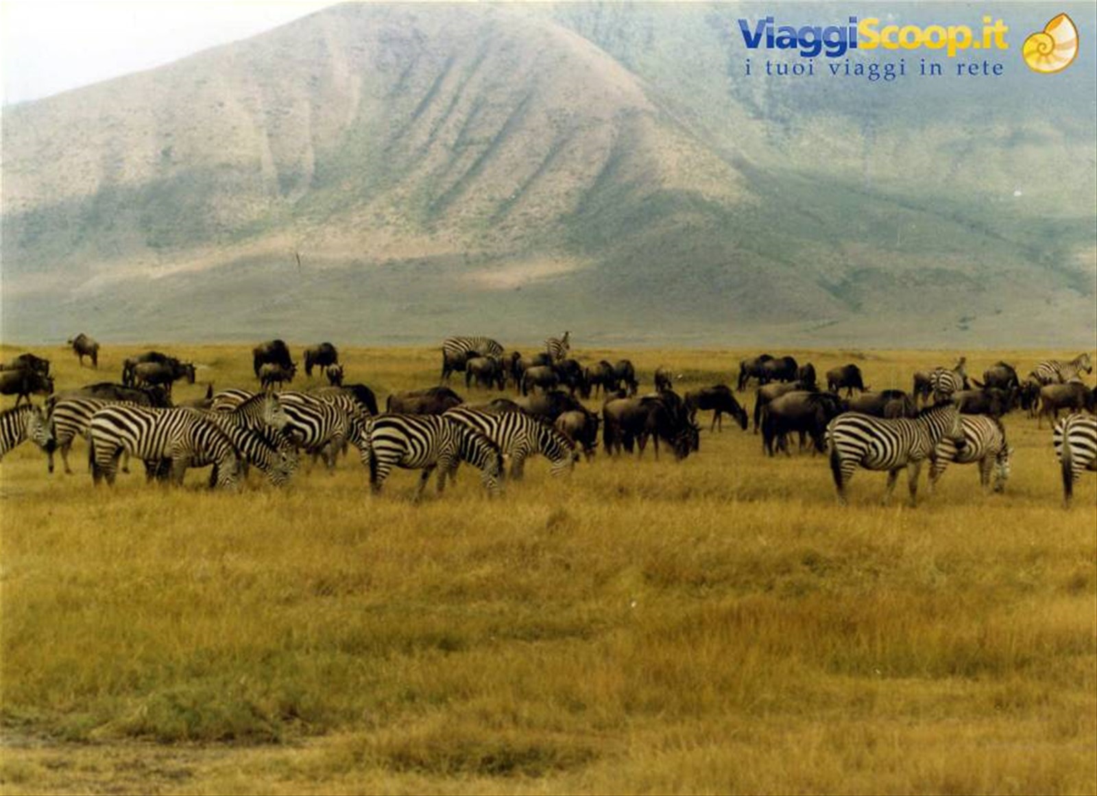 Foto di viaggio in TANZANIA