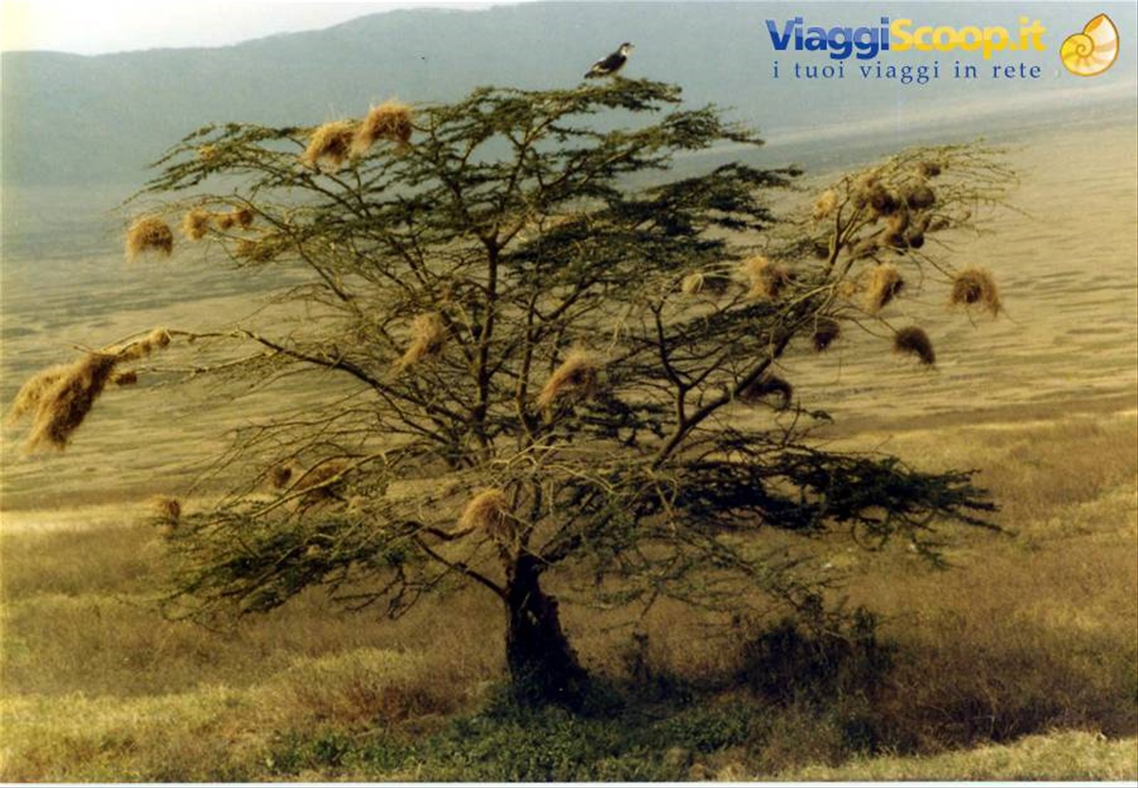 Foto di viaggio in TANZANIA