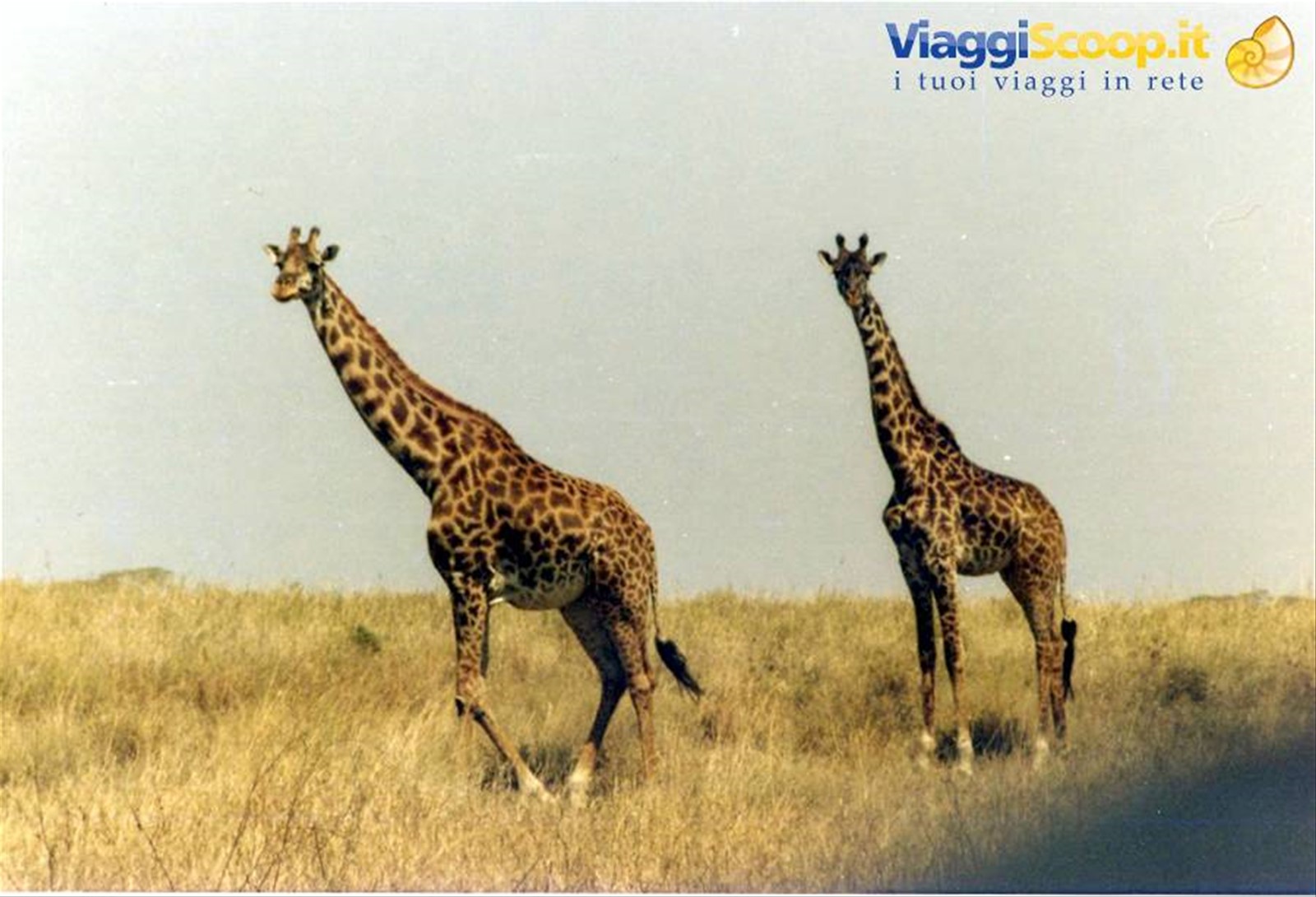 Foto di viaggio in TANZANIA