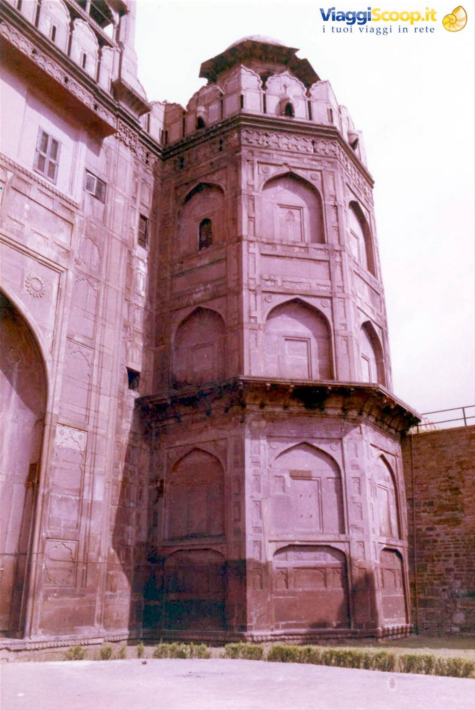Foto di viaggio in INDIA