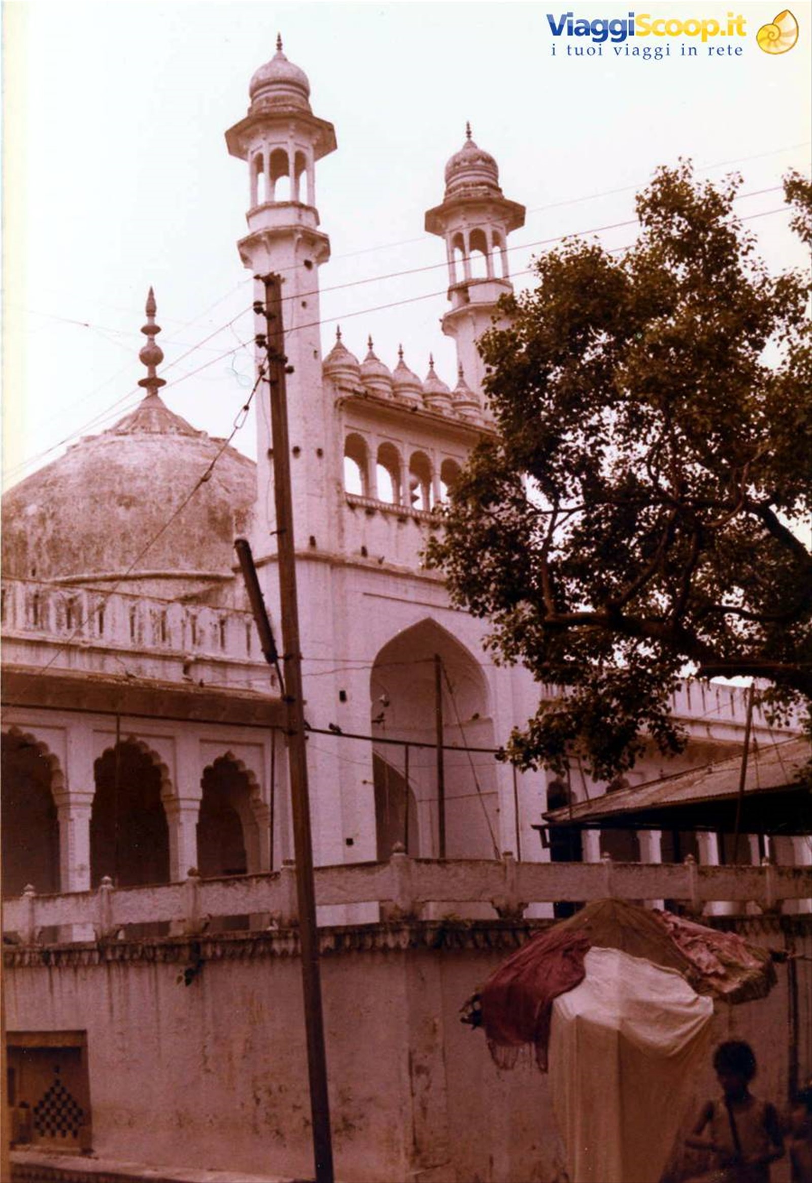 Foto di viaggio in INDIA