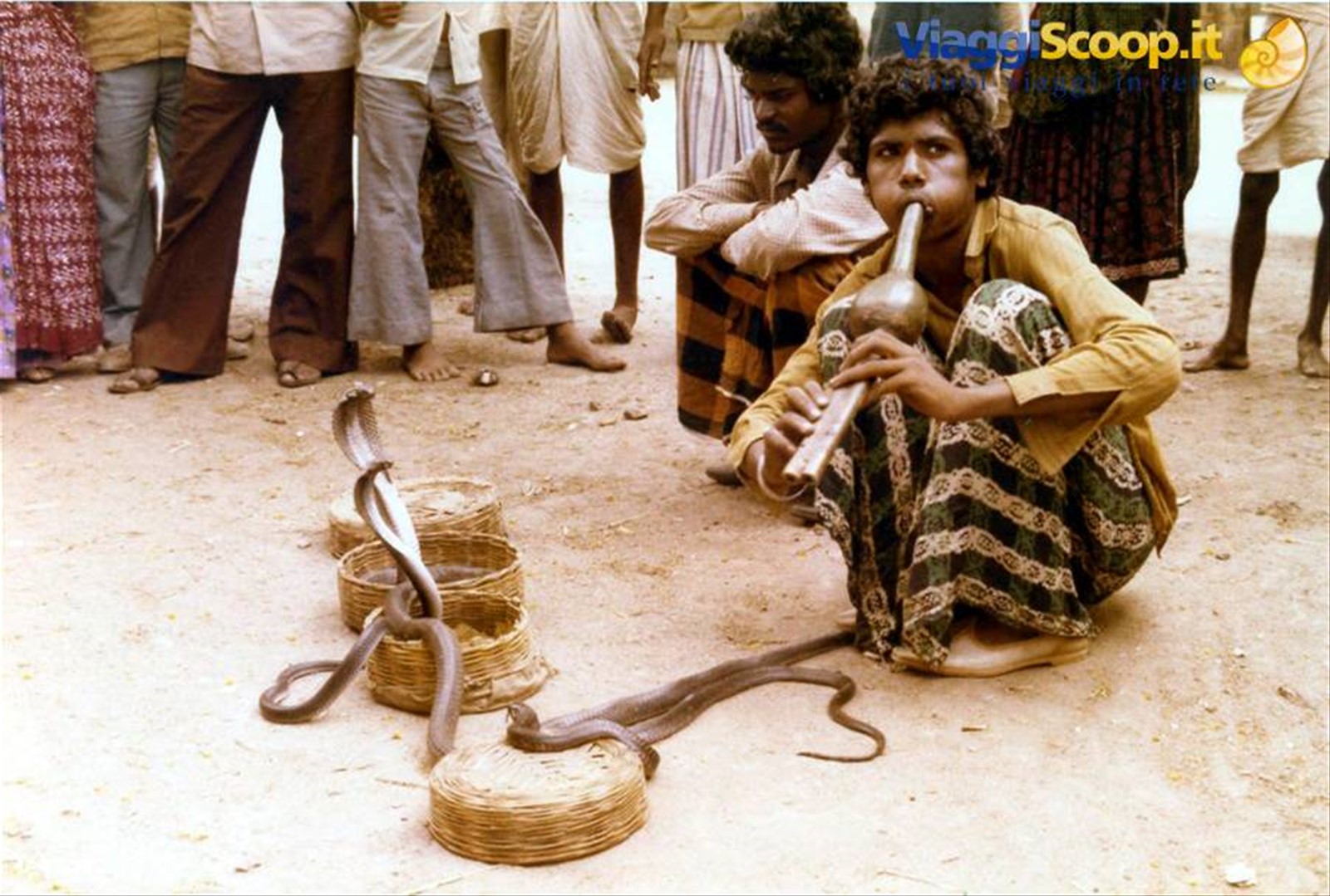 Foto di viaggio in INDIA