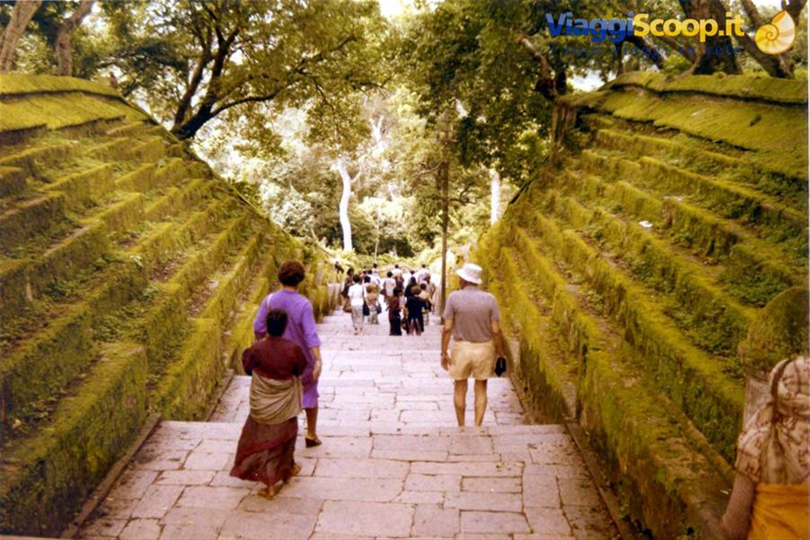 Foto di viaggio in INDIA