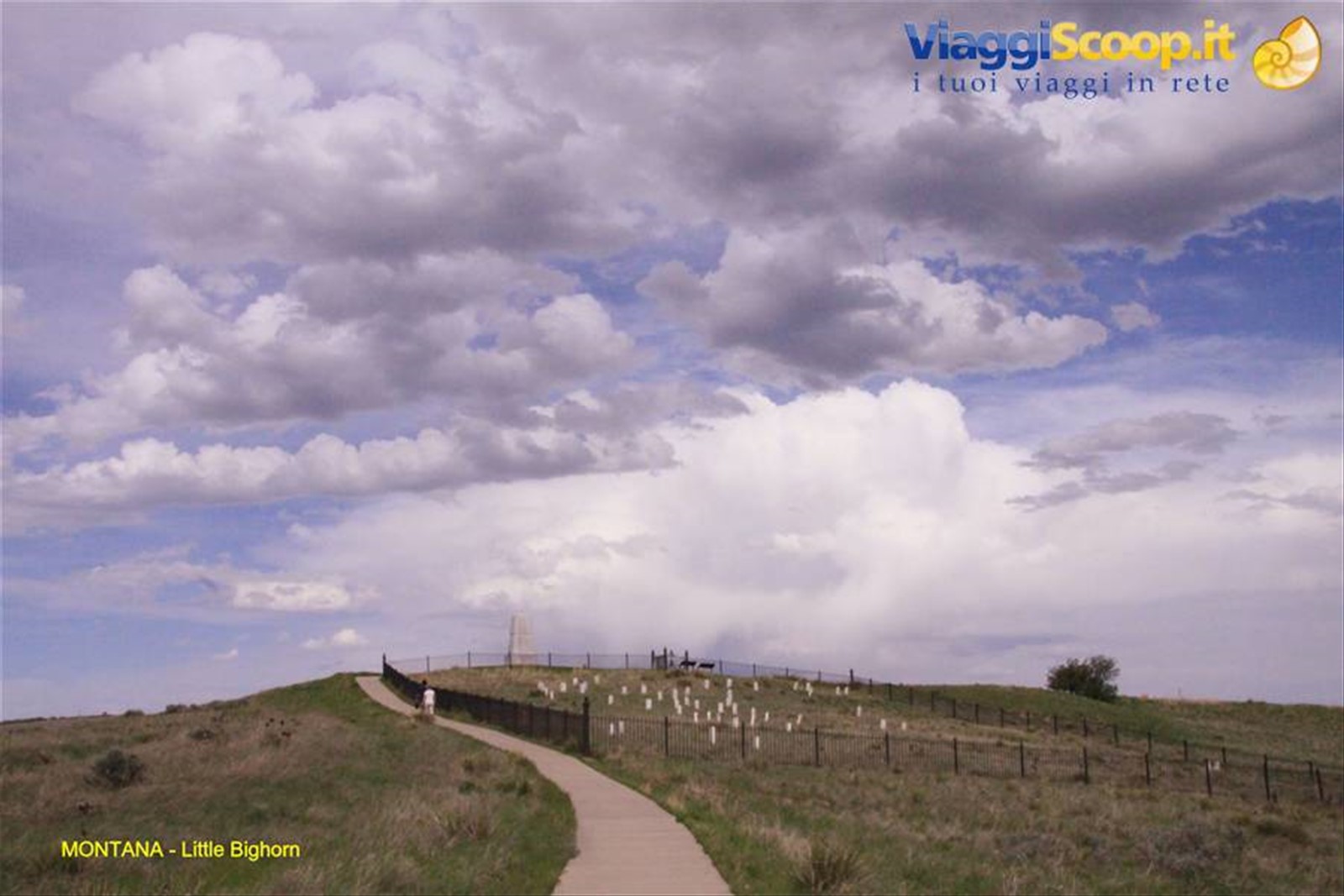 Little Bighorn