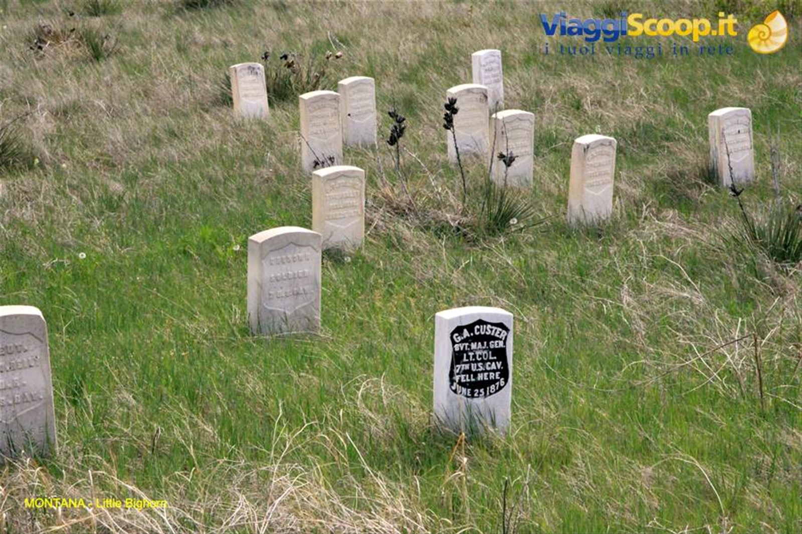Little Bighorn