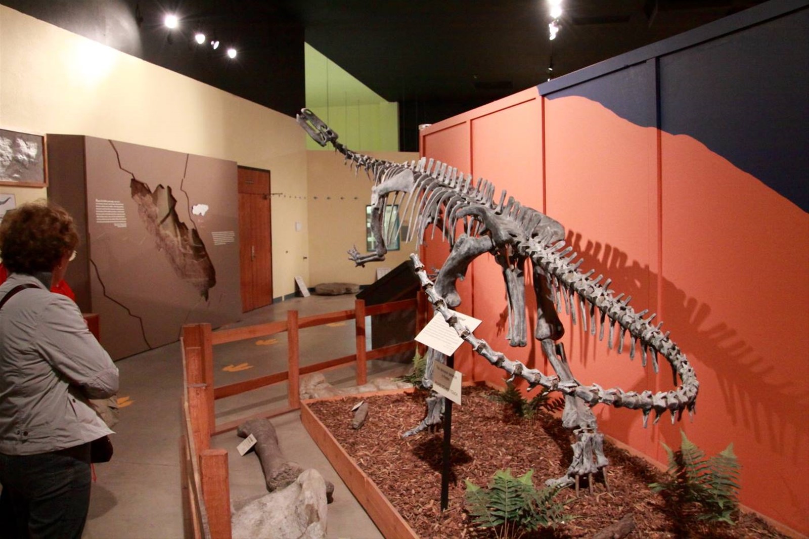 Dinosaur Journey Museum