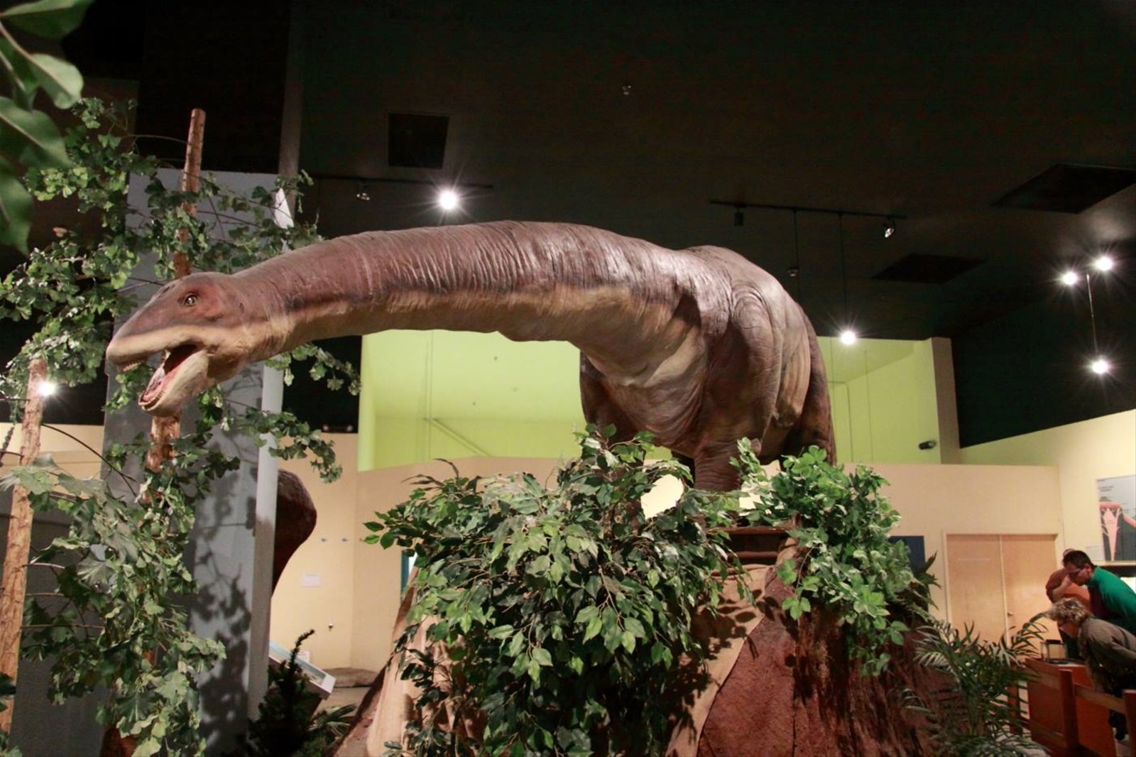 Dinosaur Journey Museum