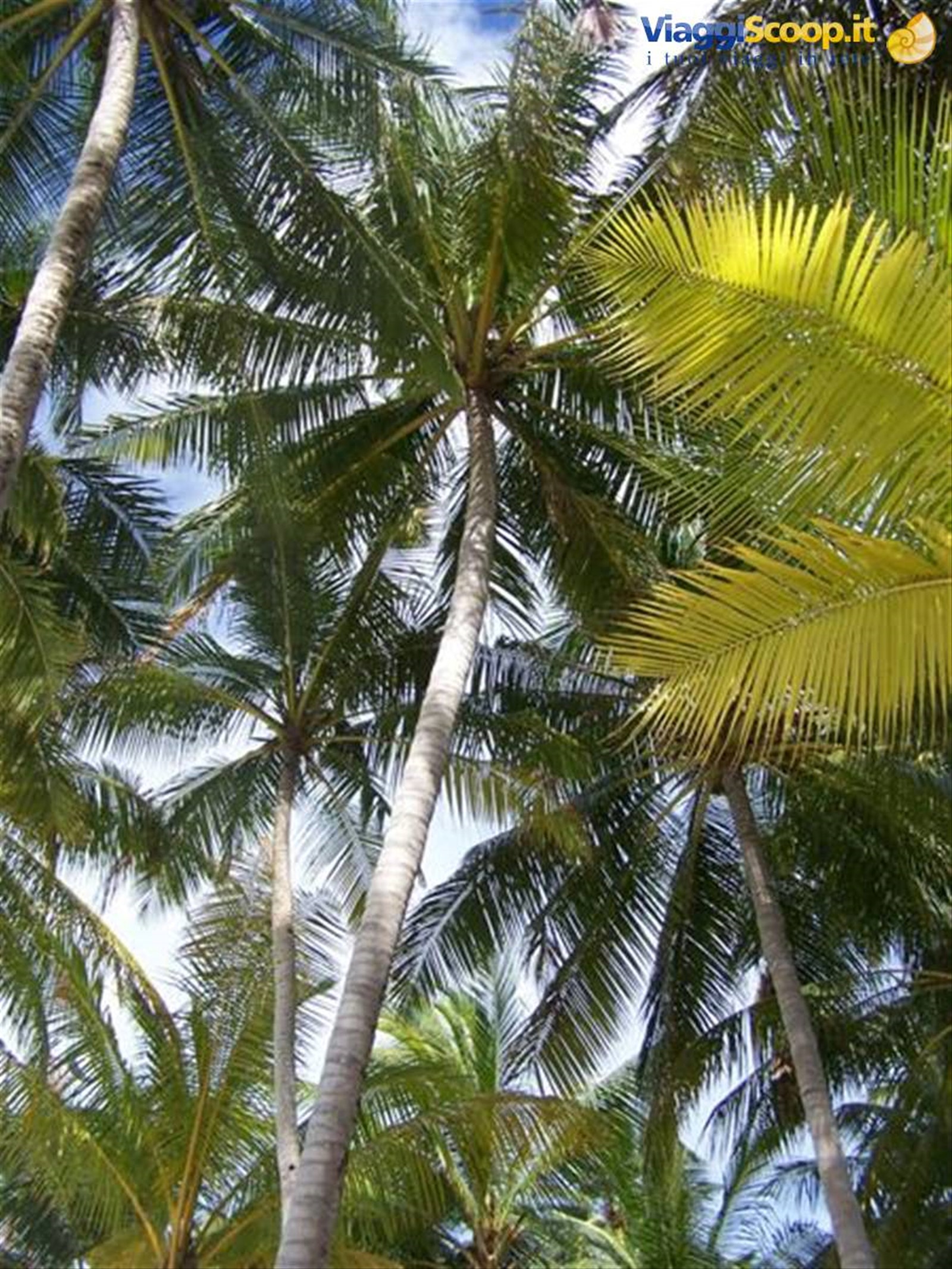 Foto di viaggio in MALDIVE