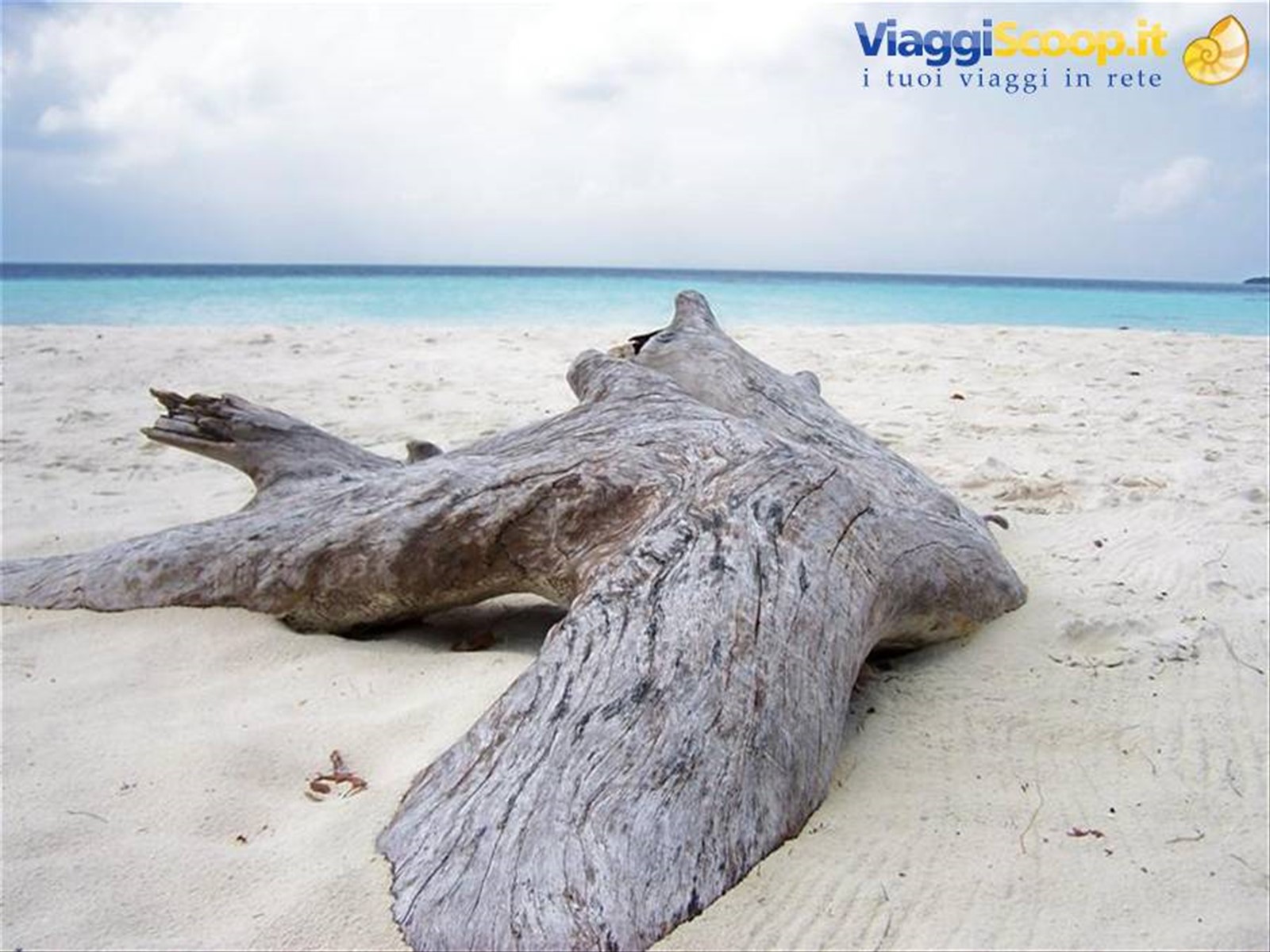 Foto di viaggio in MALDIVE