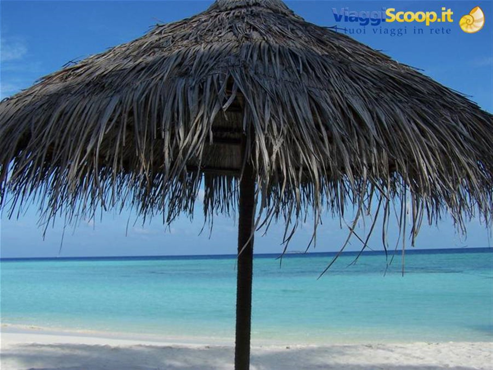 Foto di viaggio in MALDIVE