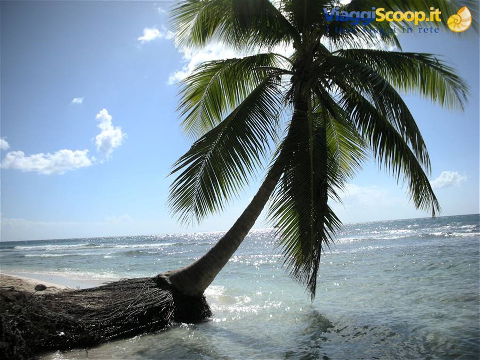 Foto di viaggio in REPUBBLICA DOMINICANA