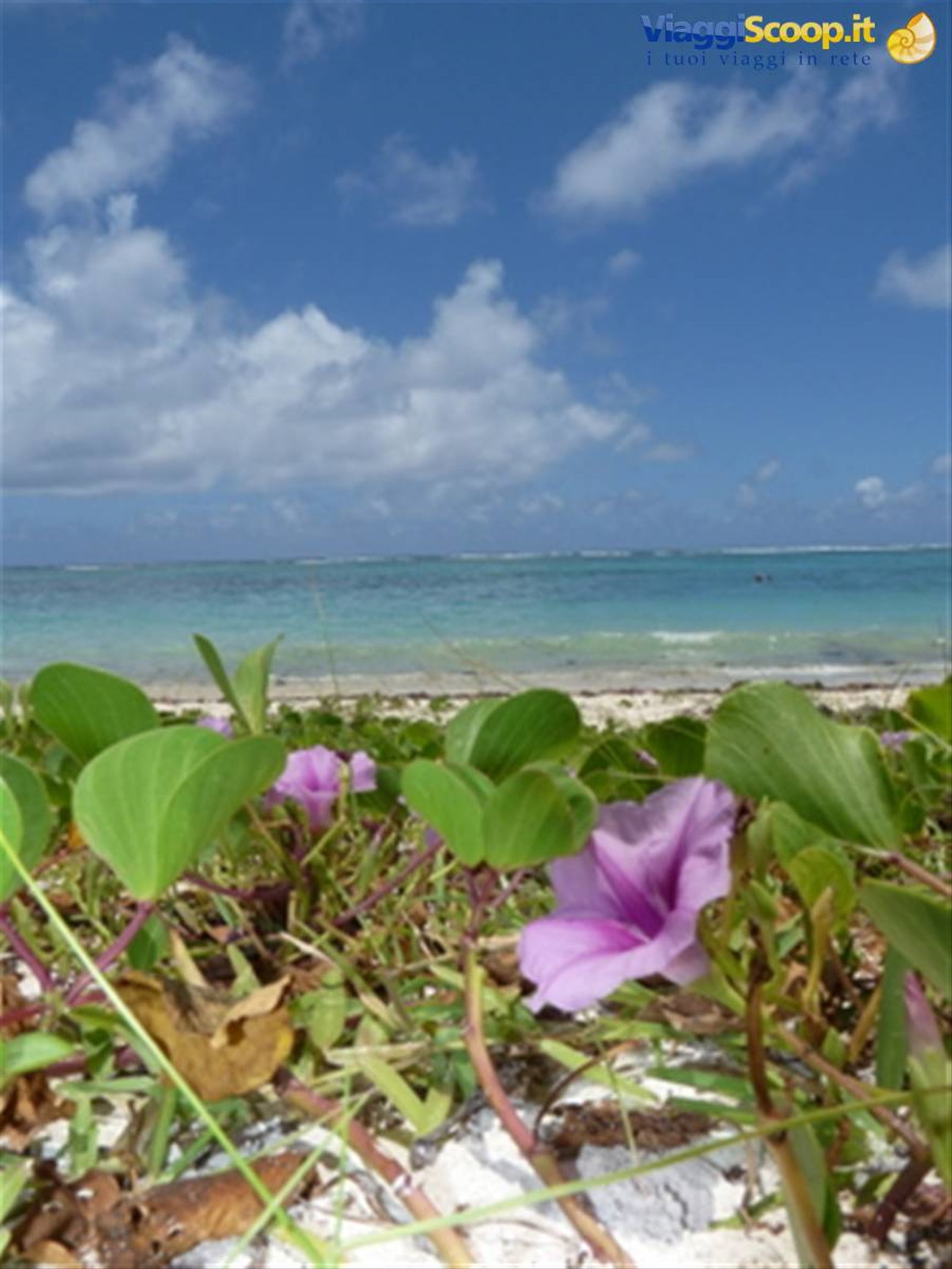 Foto di viaggio in MAURITIUS