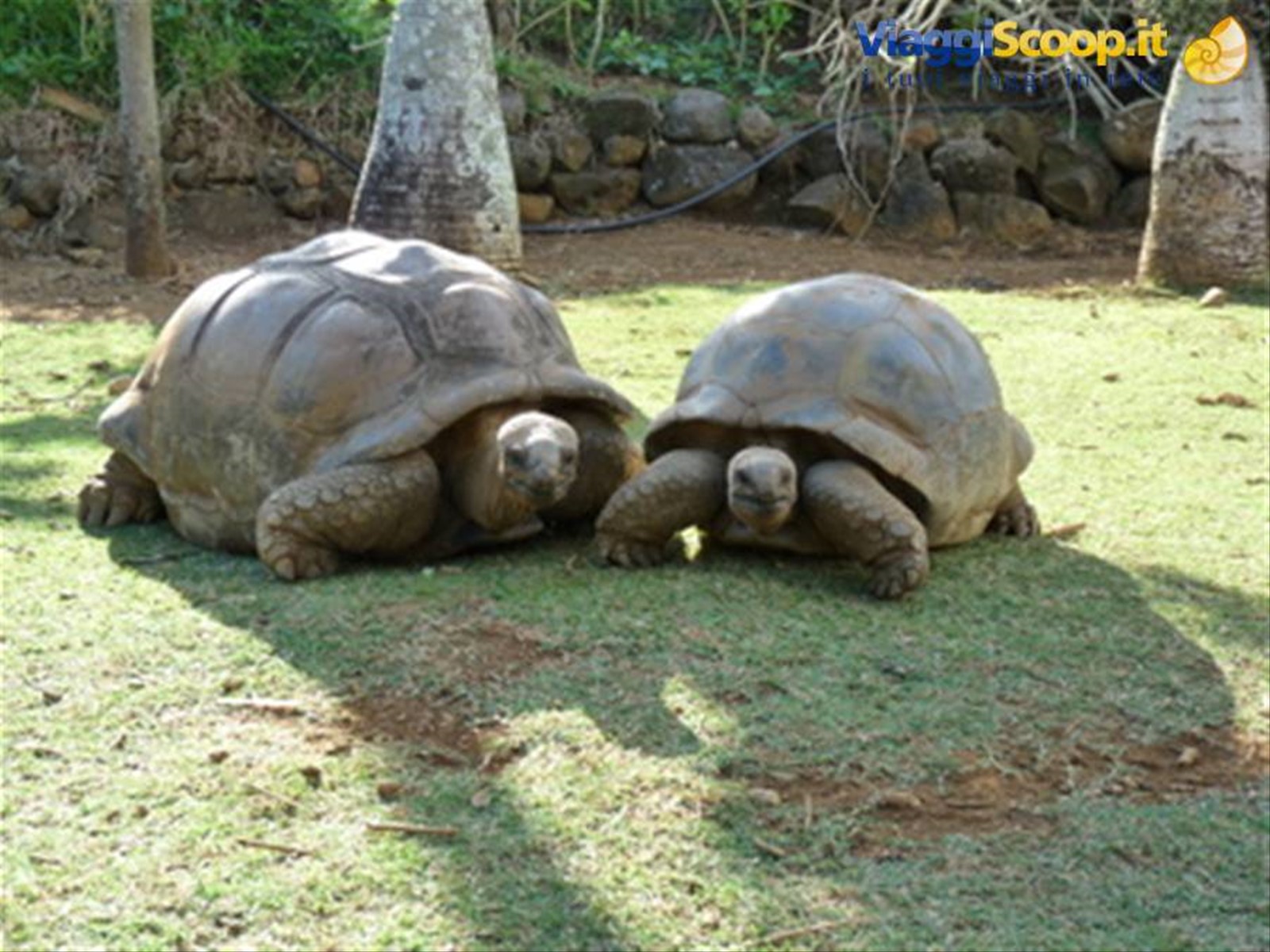Foto di viaggio in MAURITIUS