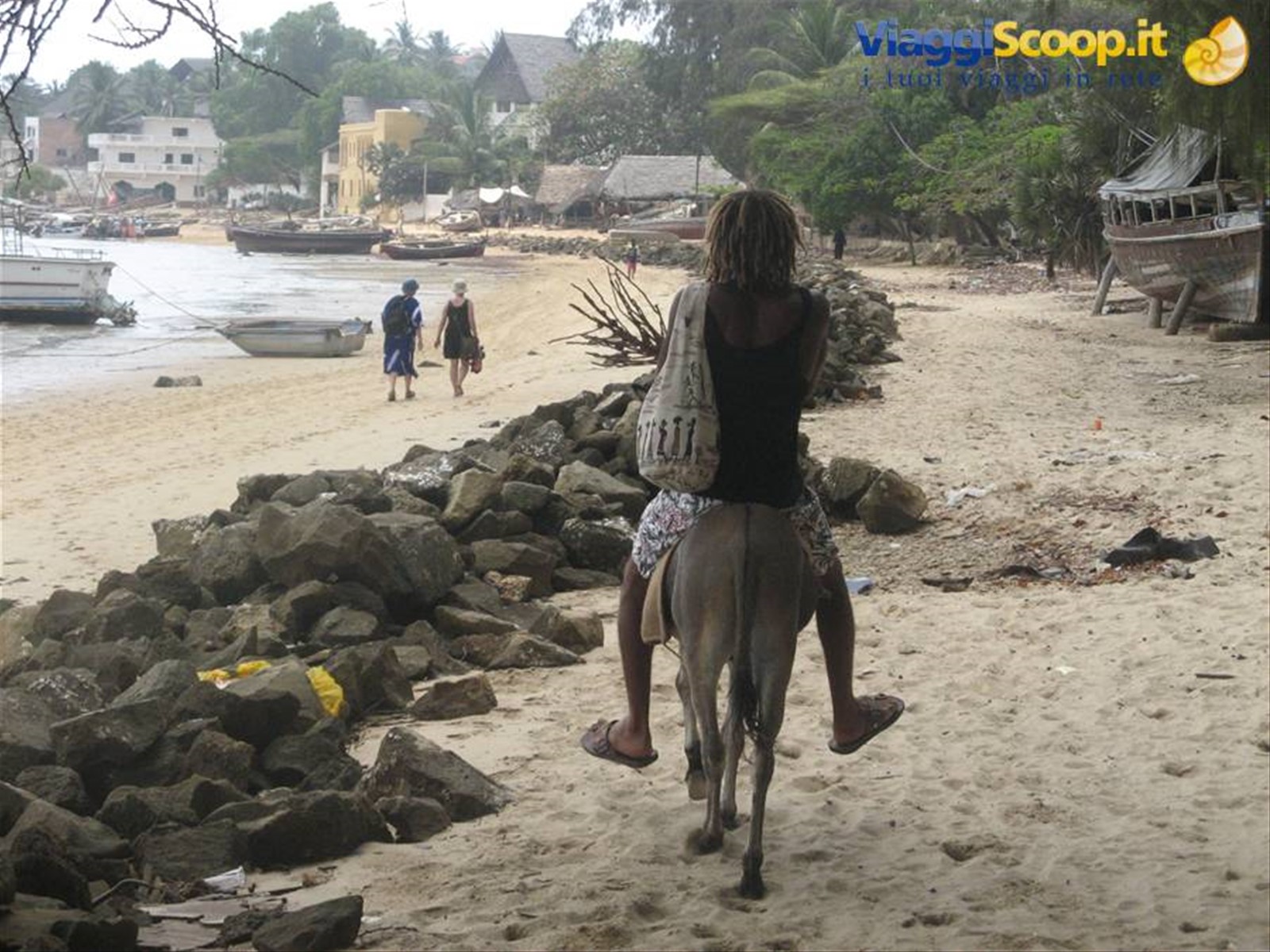 Lamu-Shela in punda!