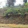 foto viaggio MADAGASCAR