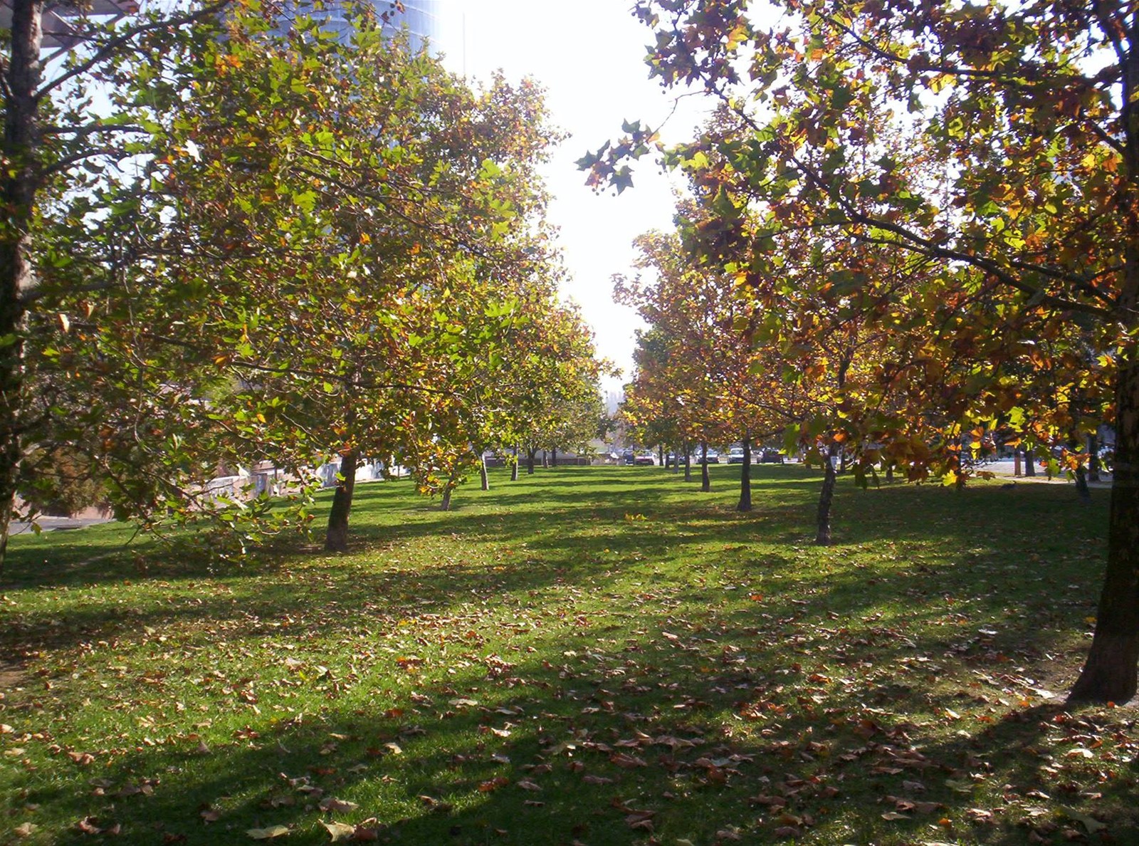 Parco