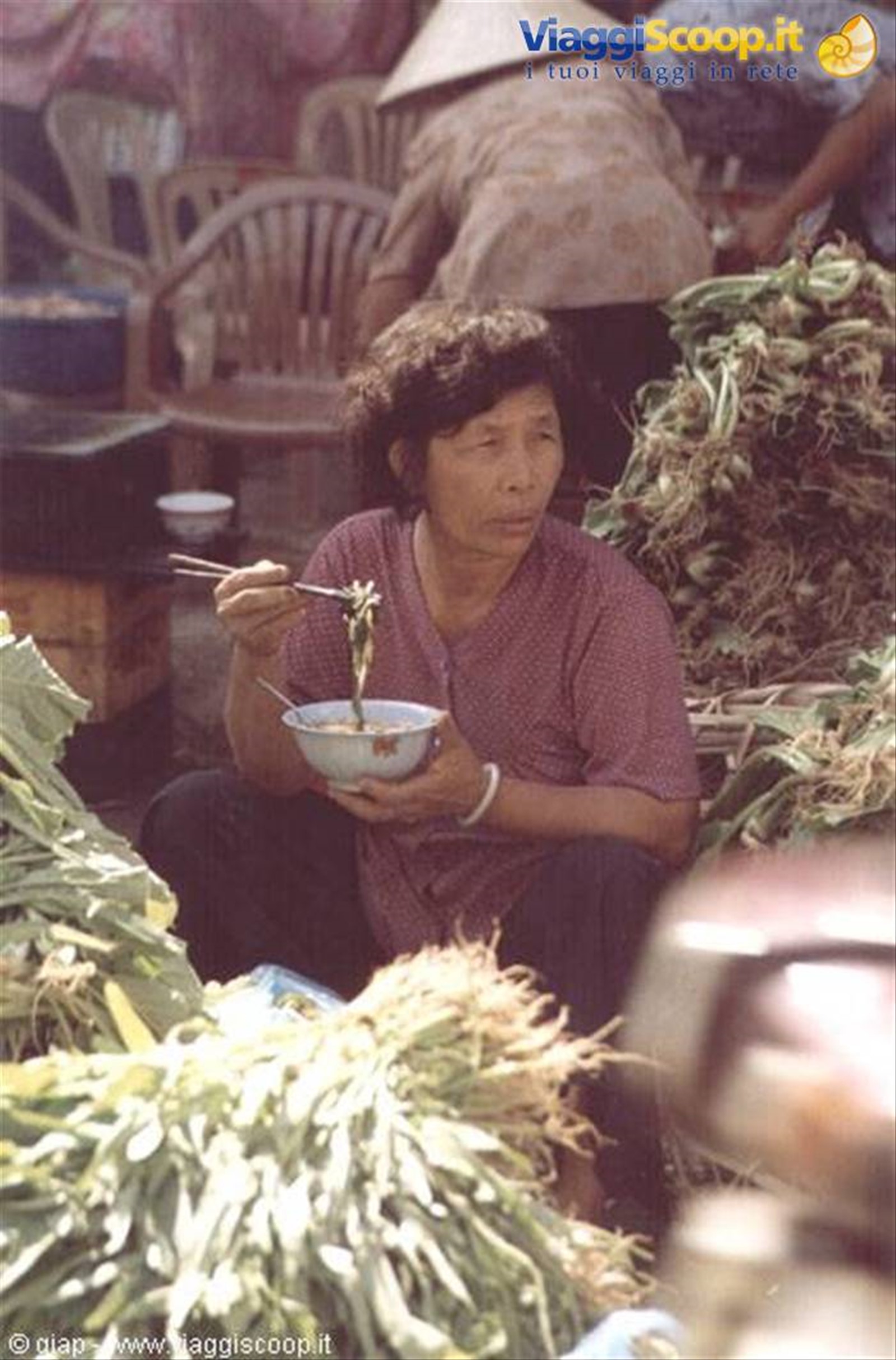 Foto di viaggio in VIETNAM