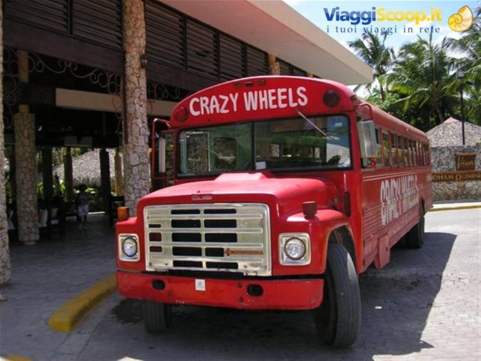 Crazy Wheels