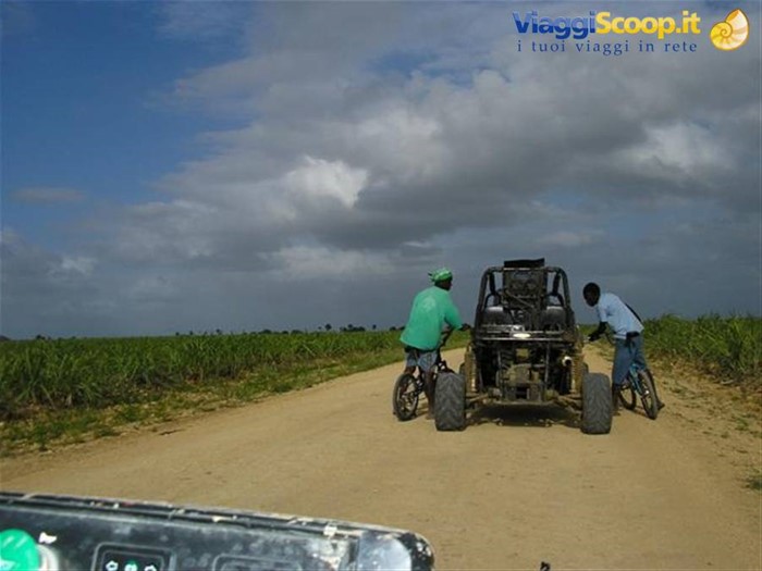 Dune Buggy fra le canne