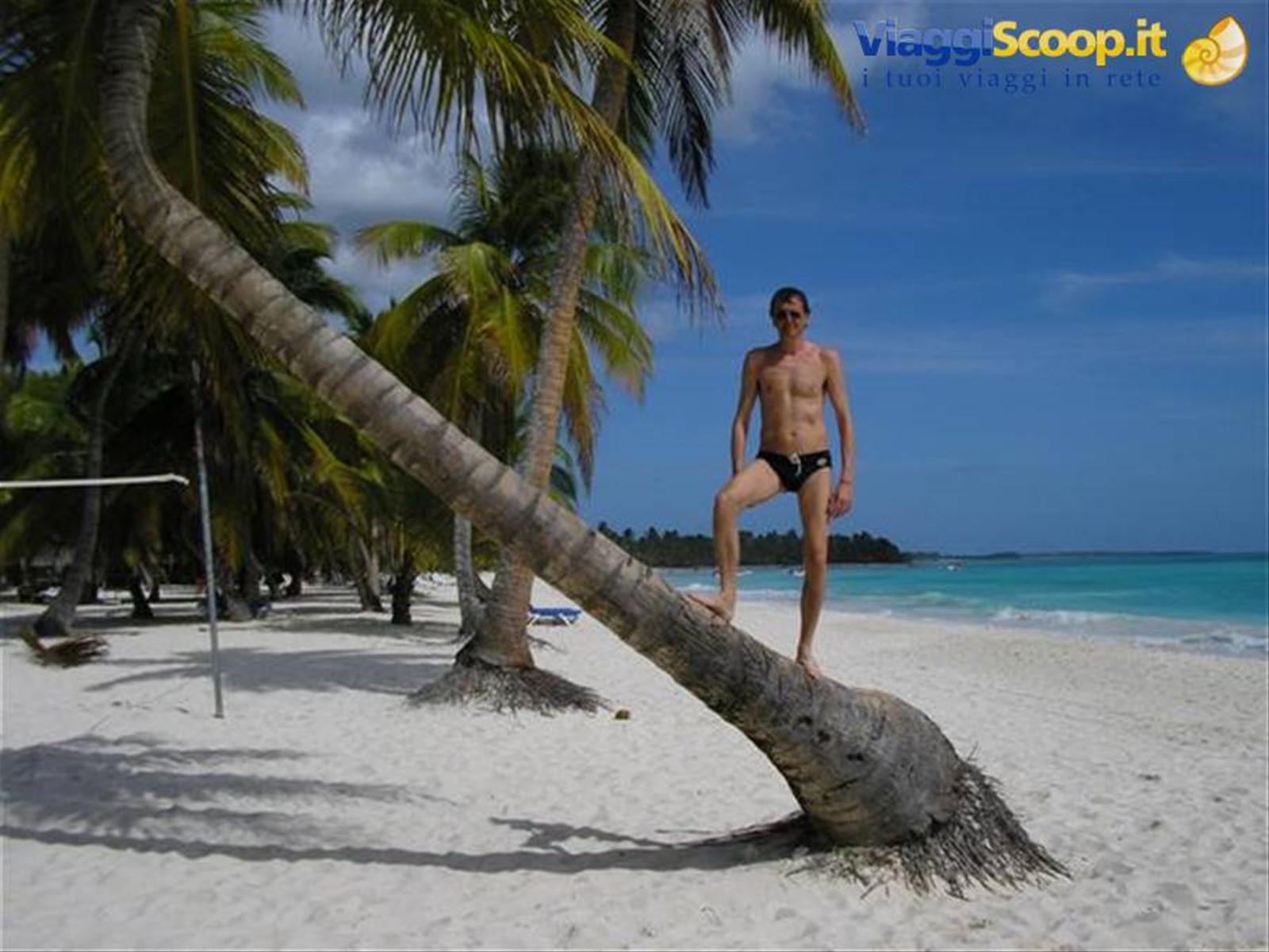 palme a Saona