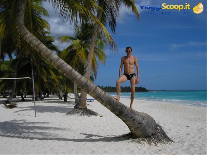 palme a Saona
