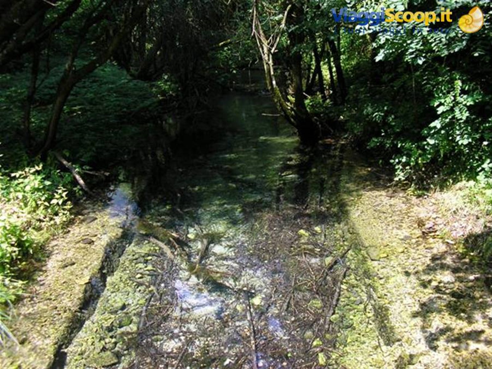 biotopo Fontanazzo.....magie dell'acqua