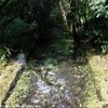 foto viaggio ITALIA