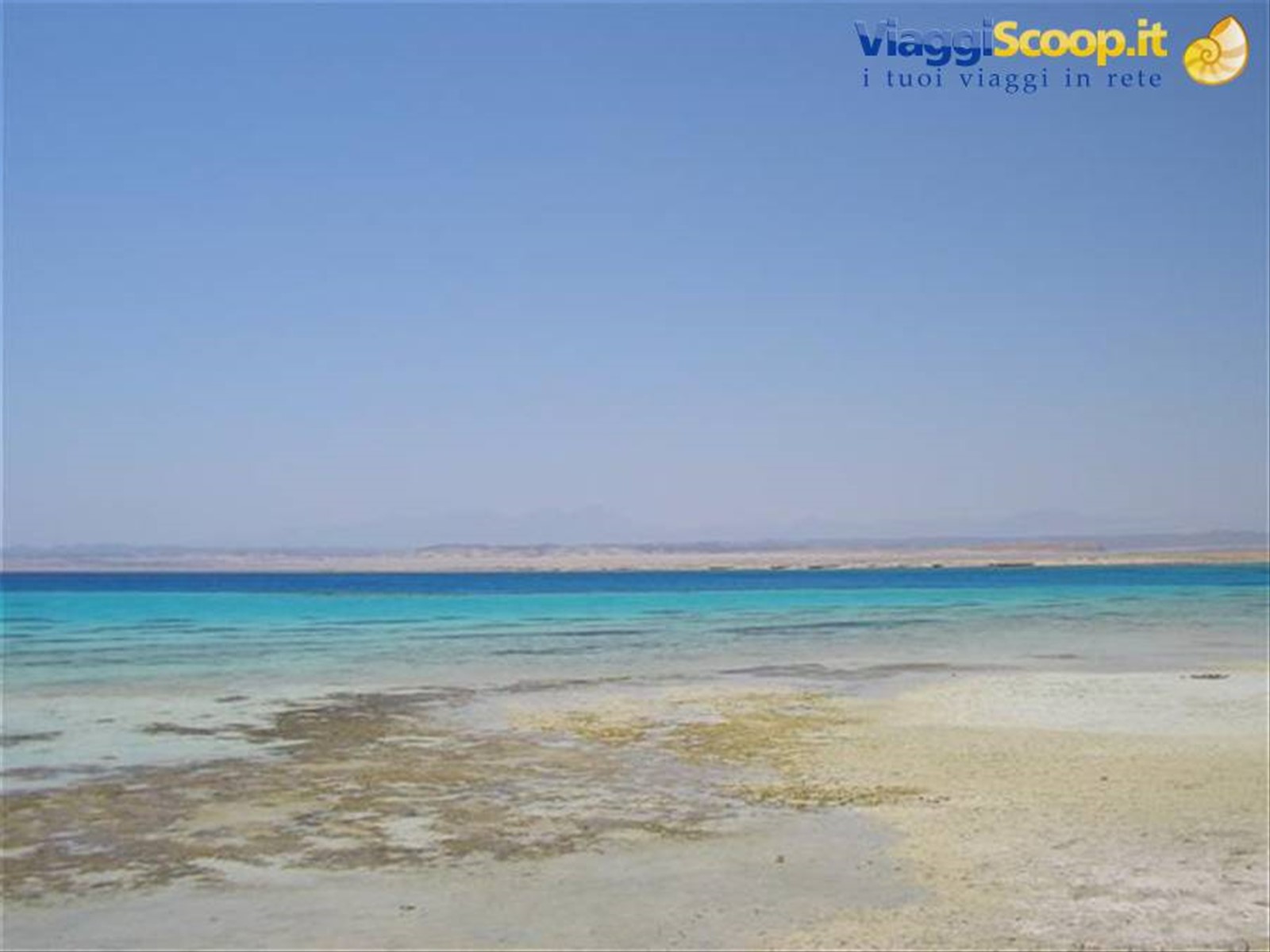 blu a Sharm el Loli